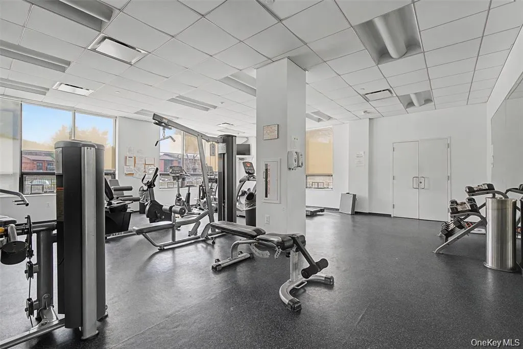 gym gym