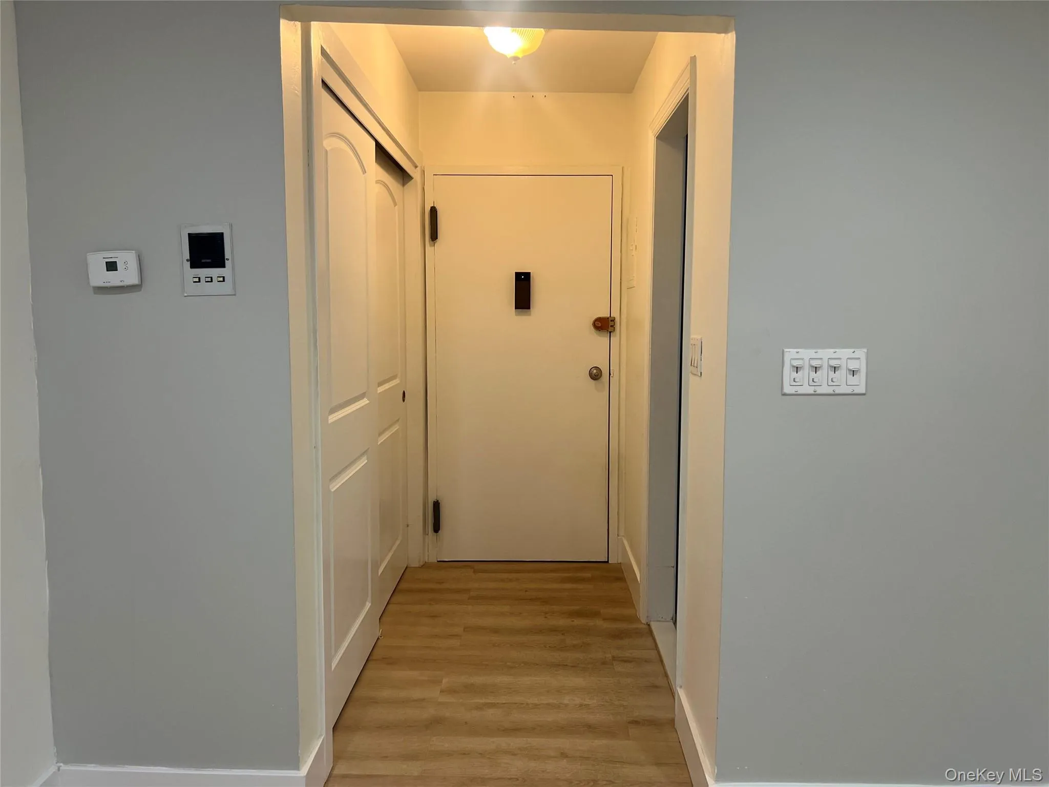 Entryway featuring large coat closet, wood-finish flooring, light gray wall paint, and white trim Entryway featuring large coat closet, wood-finish flooring, light gray wall paint, and white trim