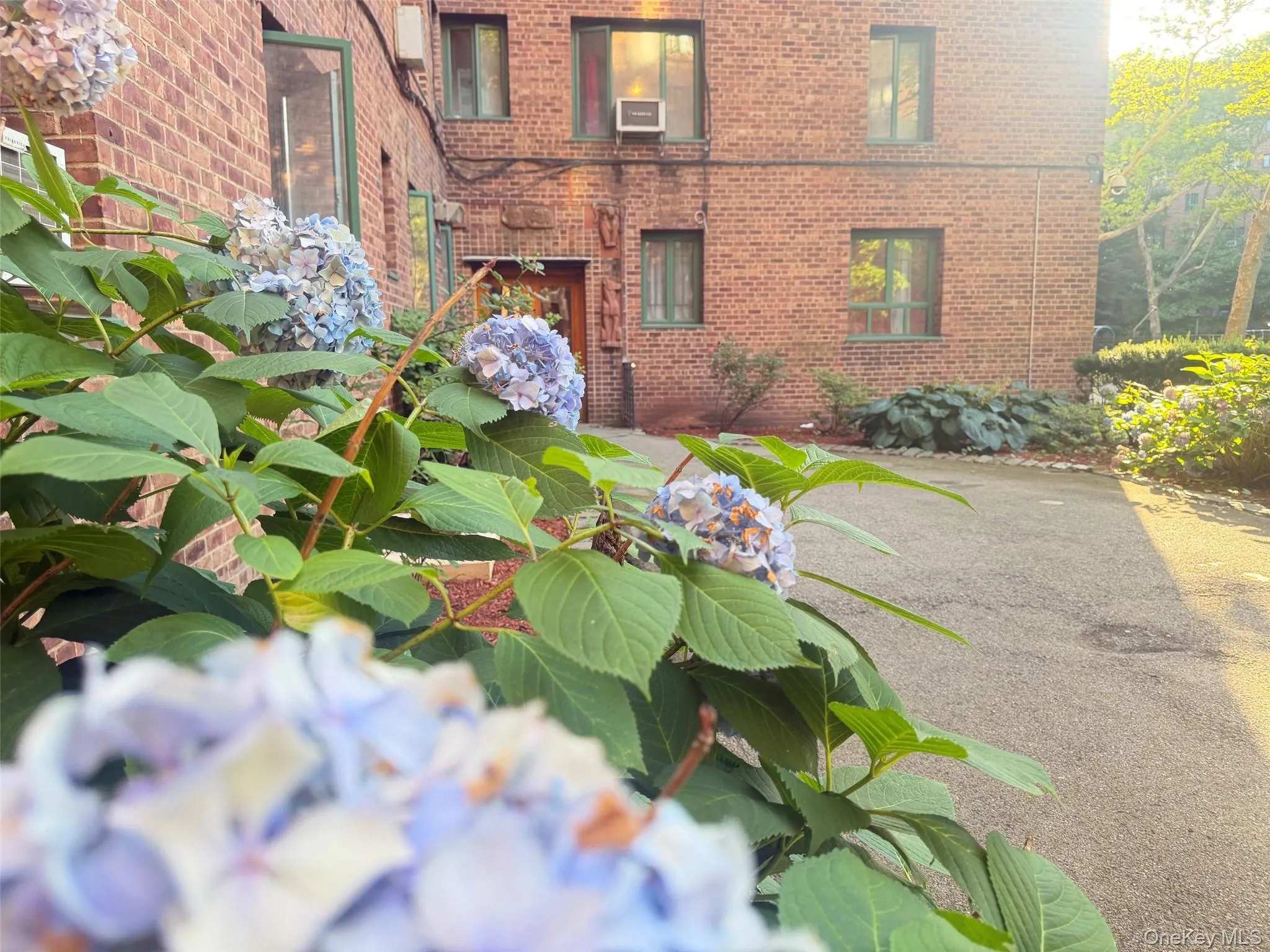 1969 Mc Graw Avenue, New York, NY, 2 Bedrooms Bedrooms, 3 Rooms Rooms,1 BathroomBathrooms,Residential,For Rent,Mc Graw,0,1024751 1969 Mc Graw Avenue, New York, NY, 2 Bedrooms Bedrooms, 3 Rooms Rooms,1 BathroomBathrooms,Residential,For Rent,Mc Graw,0,1024751