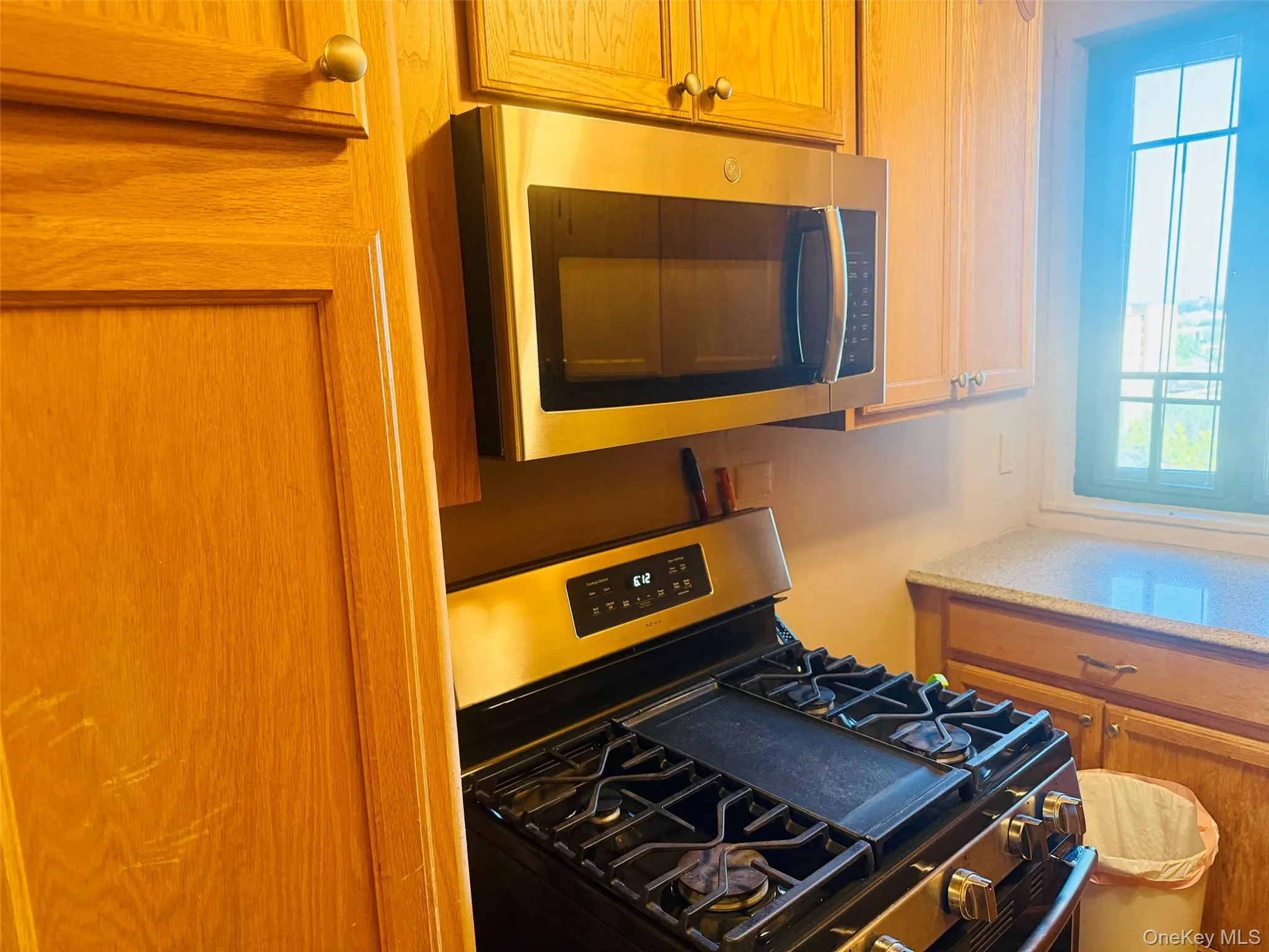 1969 Mc Graw Avenue, New York, NY, 2 Bedrooms Bedrooms, 3 Rooms Rooms,1 BathroomBathrooms,Residential,For Rent,Mc Graw,0,1024751 1969 Mc Graw Avenue, New York, NY, 2 Bedrooms Bedrooms, 3 Rooms Rooms,1 BathroomBathrooms,Residential,For Rent,Mc Graw,0,1024751
