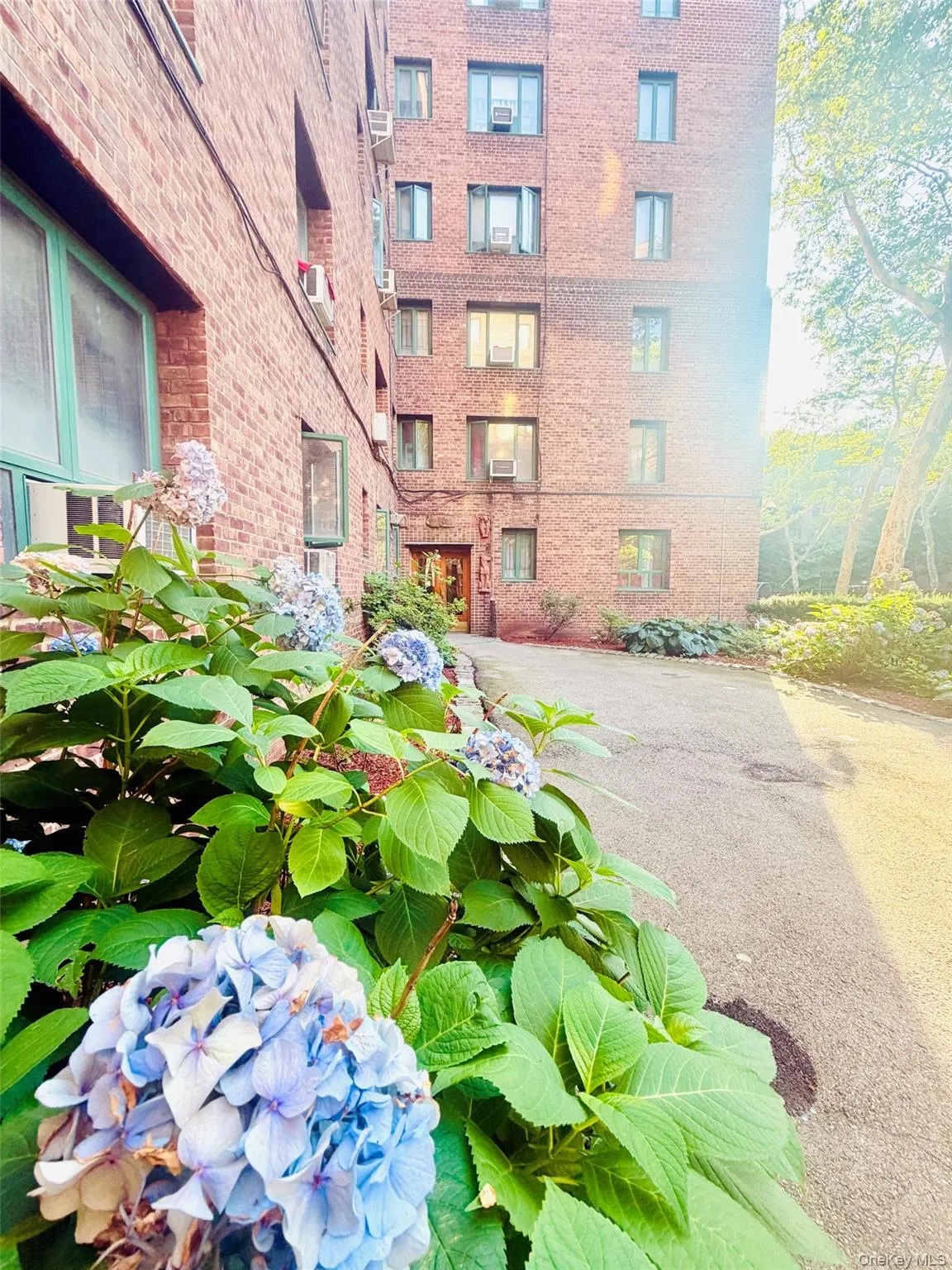 1969 Mc Graw Avenue, New York, NY, 2 Bedrooms Bedrooms, 3 Rooms Rooms,1 BathroomBathrooms,Residential,For Rent,Mc Graw,0,1024751 1969 Mc Graw Avenue, New York, NY, 2 Bedrooms Bedrooms, 3 Rooms Rooms,1 BathroomBathrooms,Residential,For Rent,Mc Graw,0,1024751
