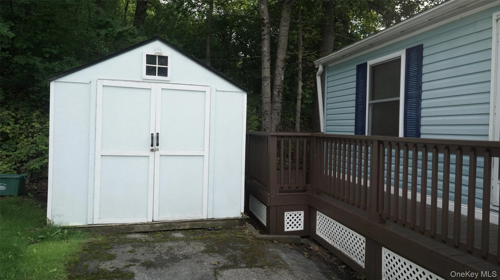 Shed Shed