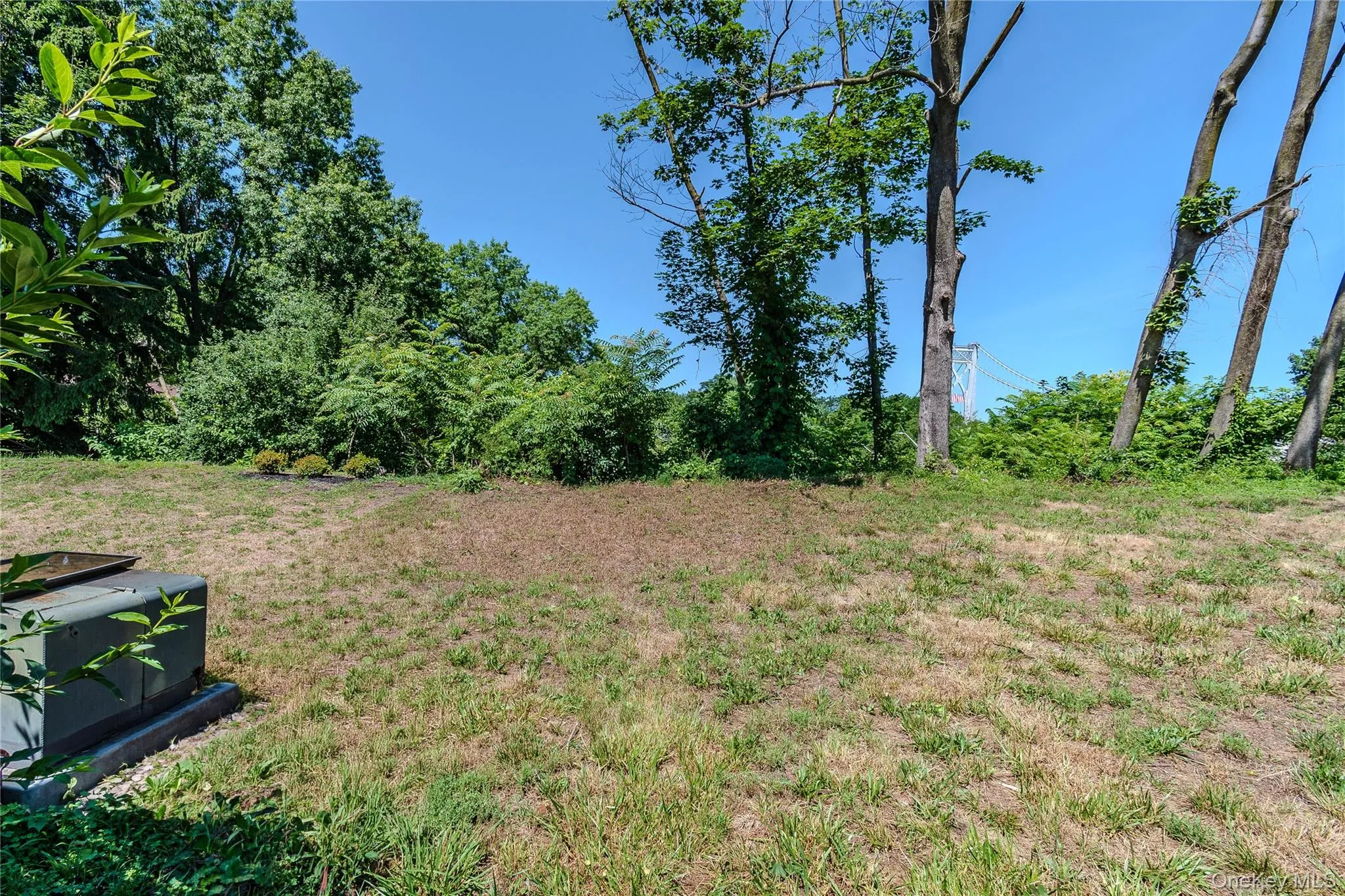 Full Backyard Full Backyard