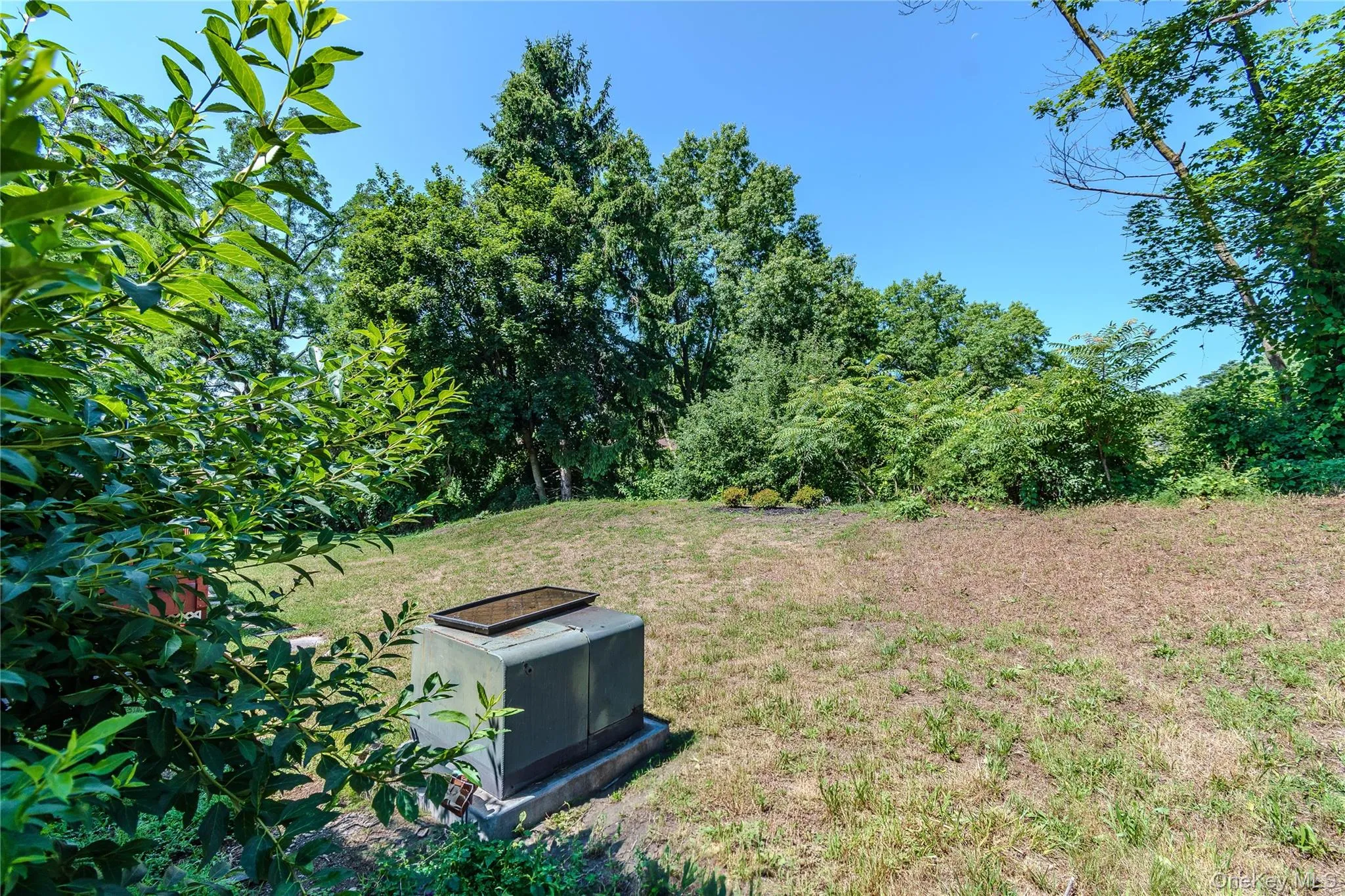 Backyard Backyard
