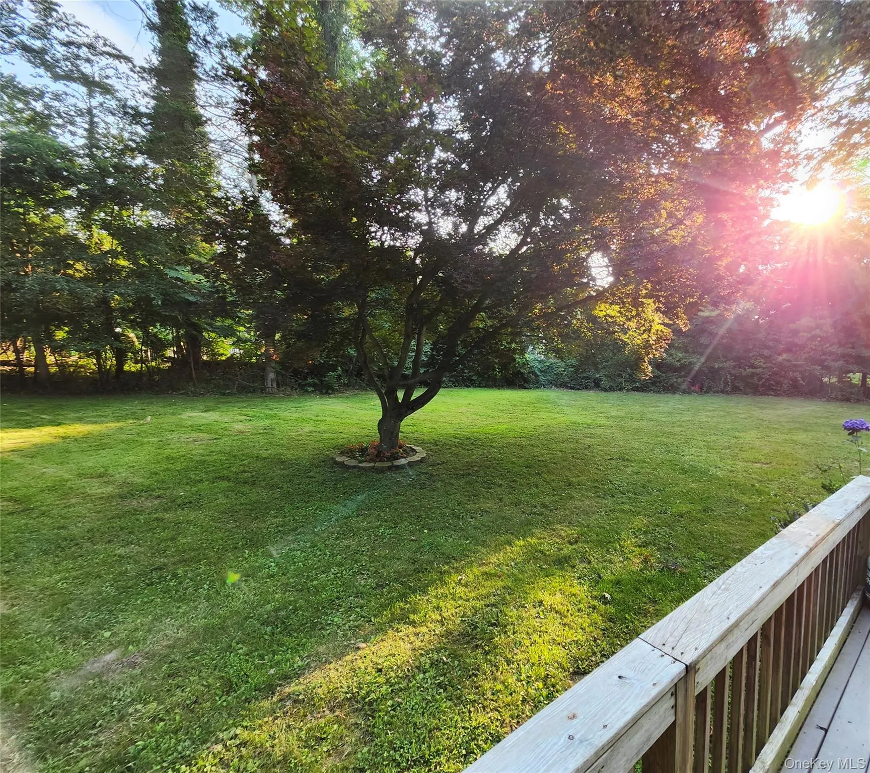 11 Smith Lane, Smithtown, NY, 4 Bedrooms Bedrooms, 9 Rooms Rooms,2 BathroomsBathrooms,Residential,For Rent,Smith,0,1024831 11 Smith Lane, Smithtown, NY, 4 Bedrooms Bedrooms, 9 Rooms Rooms,2 BathroomsBathrooms,Residential,For Rent,Smith,0,1024831