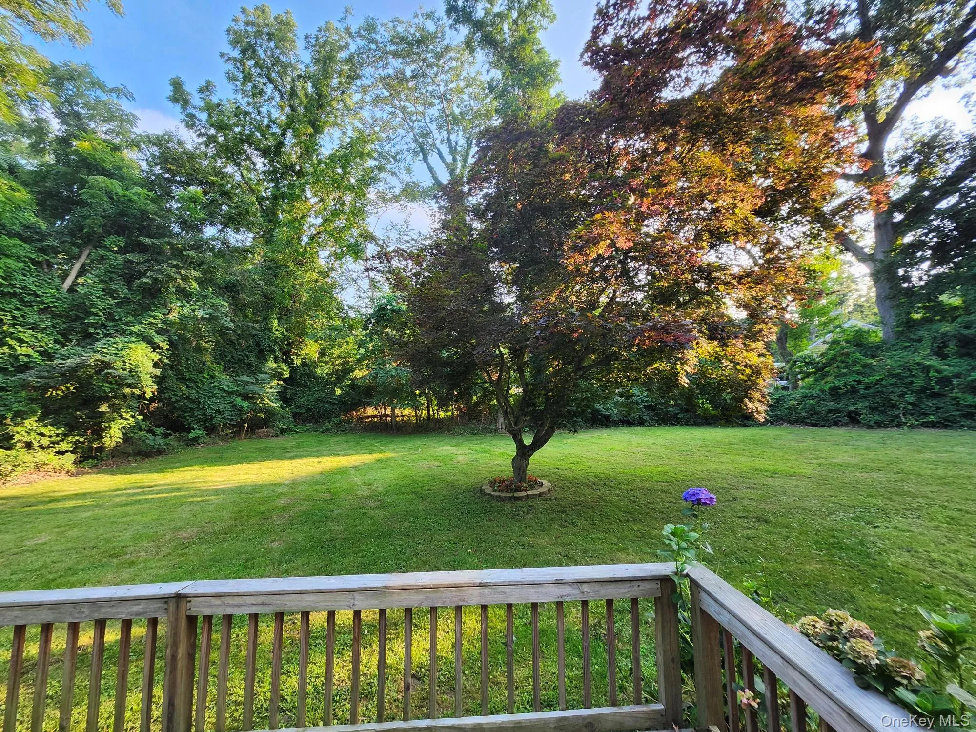 11 Smith Lane, Smithtown, NY, 4 Bedrooms Bedrooms, 9 Rooms Rooms,2 BathroomsBathrooms,Residential,For Rent,Smith,0,1024831 11 Smith Lane, Smithtown, NY, 4 Bedrooms Bedrooms, 9 Rooms Rooms,2 BathroomsBathrooms,Residential,For Rent,Smith,0,1024831