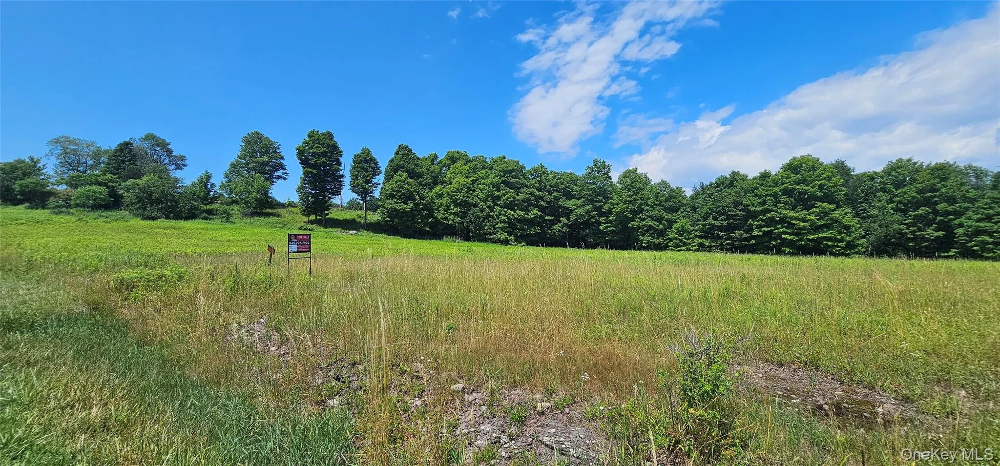 w/s Divine Corners Road, Fallsburg, NY, ,Land,For Rent,w/s Divine Corners Road,0,1024843 w/s Divine Corners Road, Fallsburg, NY, ,Land,For Rent,w/s Divine Corners Road,0,1024843