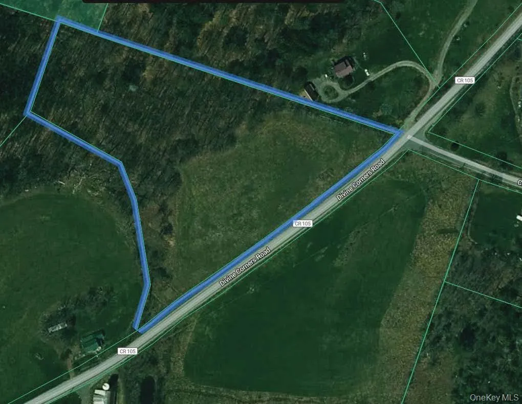 w/s Divine Corners Road, Fallsburg, NY, ,Land,For Rent,w/s Divine Corners Road,0,1024843 w/s Divine Corners Road, Fallsburg, NY, ,Land,For Rent,w/s Divine Corners Road,0,1024843