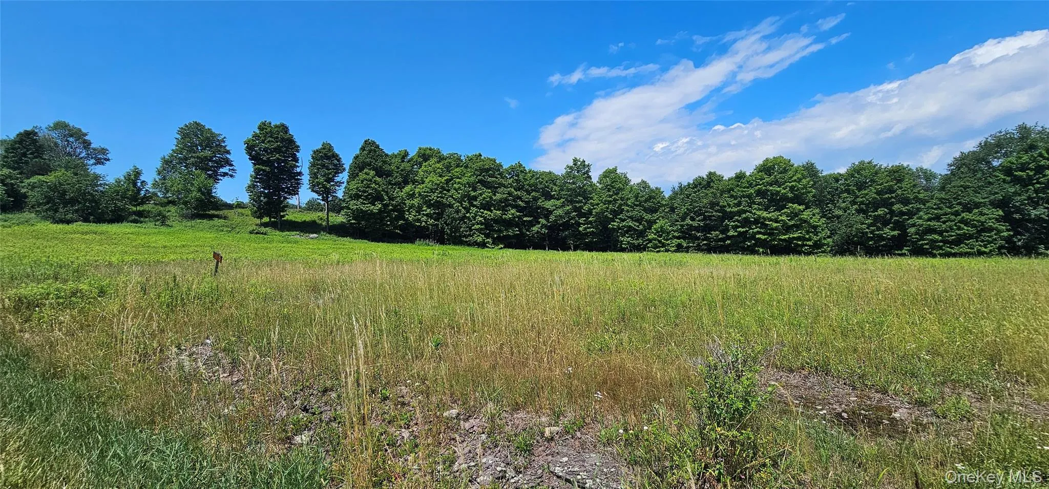 w/s Divine Corners Road, Fallsburg, NY, ,Land,For Rent,w/s Divine Corners Road,0,1024843 w/s Divine Corners Road, Fallsburg, NY, ,Land,For Rent,w/s Divine Corners Road,0,1024843