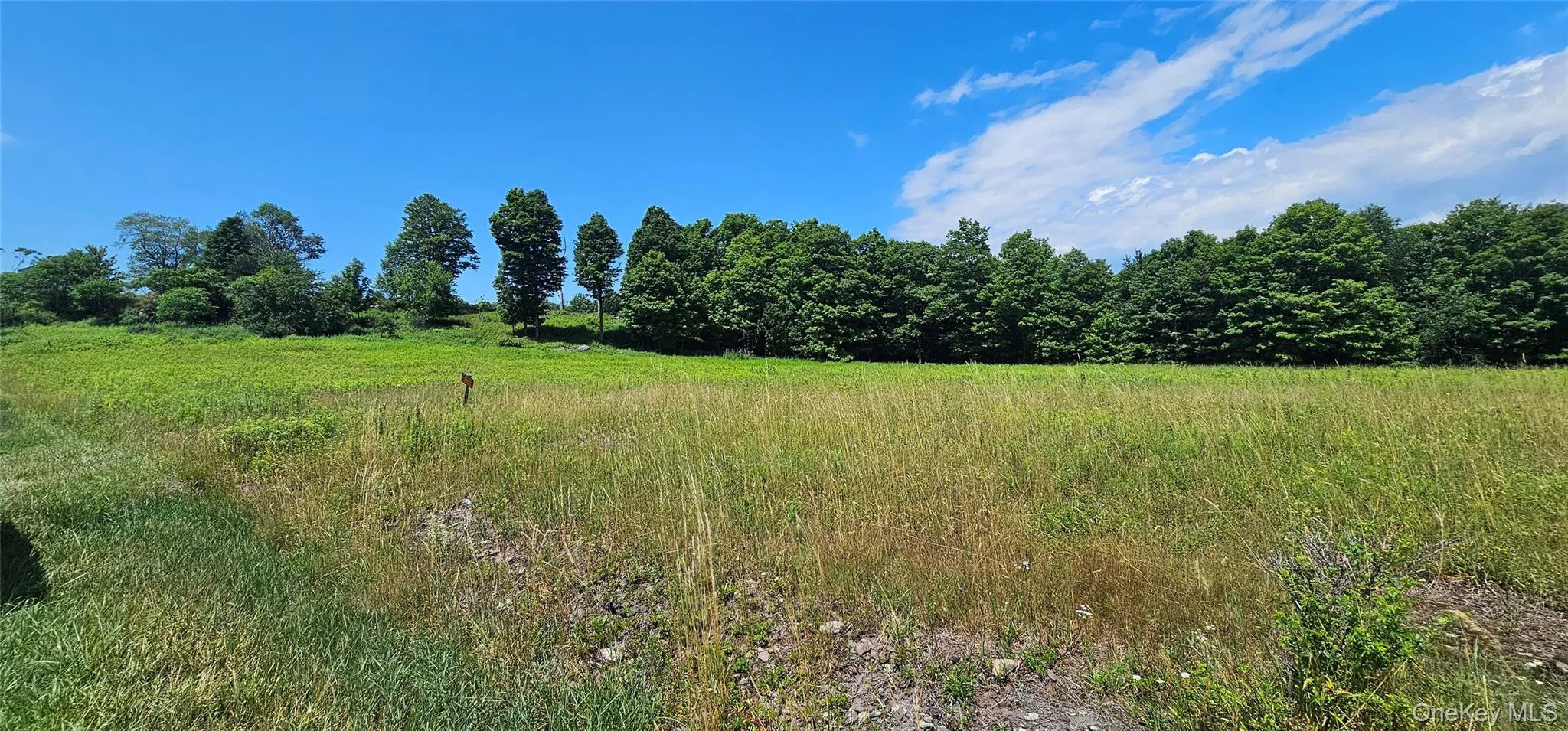 w/s Divine Corners Road, Fallsburg, NY, ,Land,For Rent,w/s Divine Corners Road,0,1024843 w/s Divine Corners Road, Fallsburg, NY, ,Land,For Rent,w/s Divine Corners Road,0,1024843