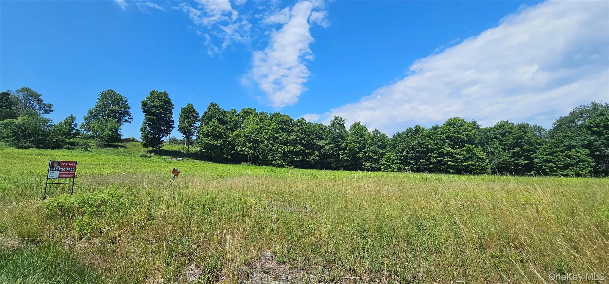w/s Divine Corners Road, Fallsburg, NY, ,Land,For Rent,w/s Divine Corners Road,0,1024843 w/s Divine Corners Road, Fallsburg, NY, ,Land,For Rent,w/s Divine Corners Road,0,1024843