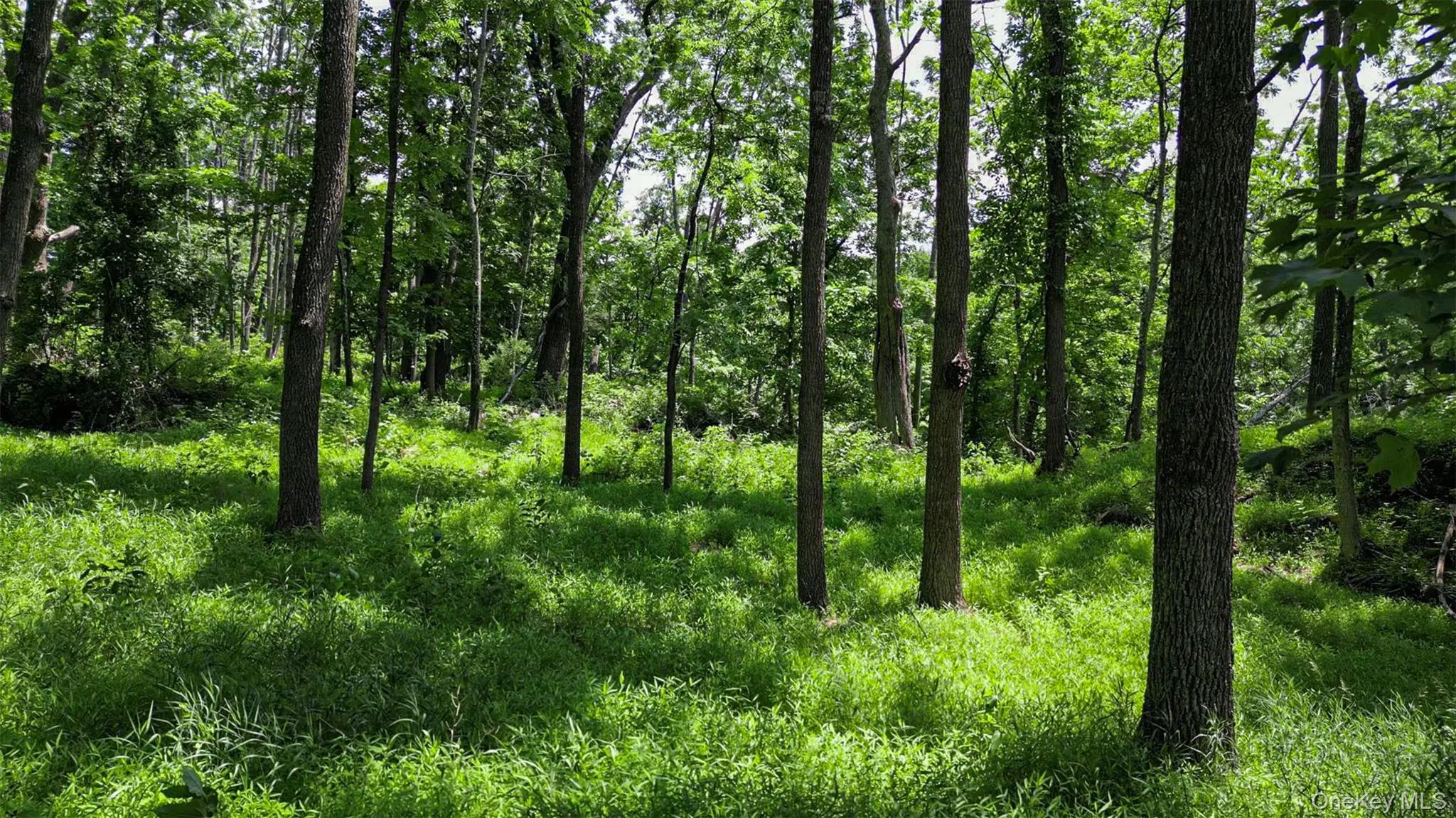Beautiful property Beautiful property
