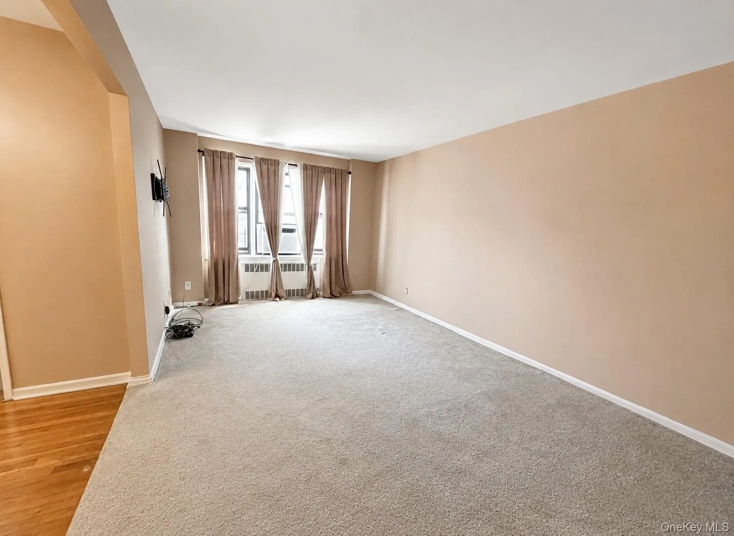 Spacious room with light neutral wall tones, plush carpeting, and multiple windows Spacious room with light neutral wall tones, plush carpeting, and multiple windows