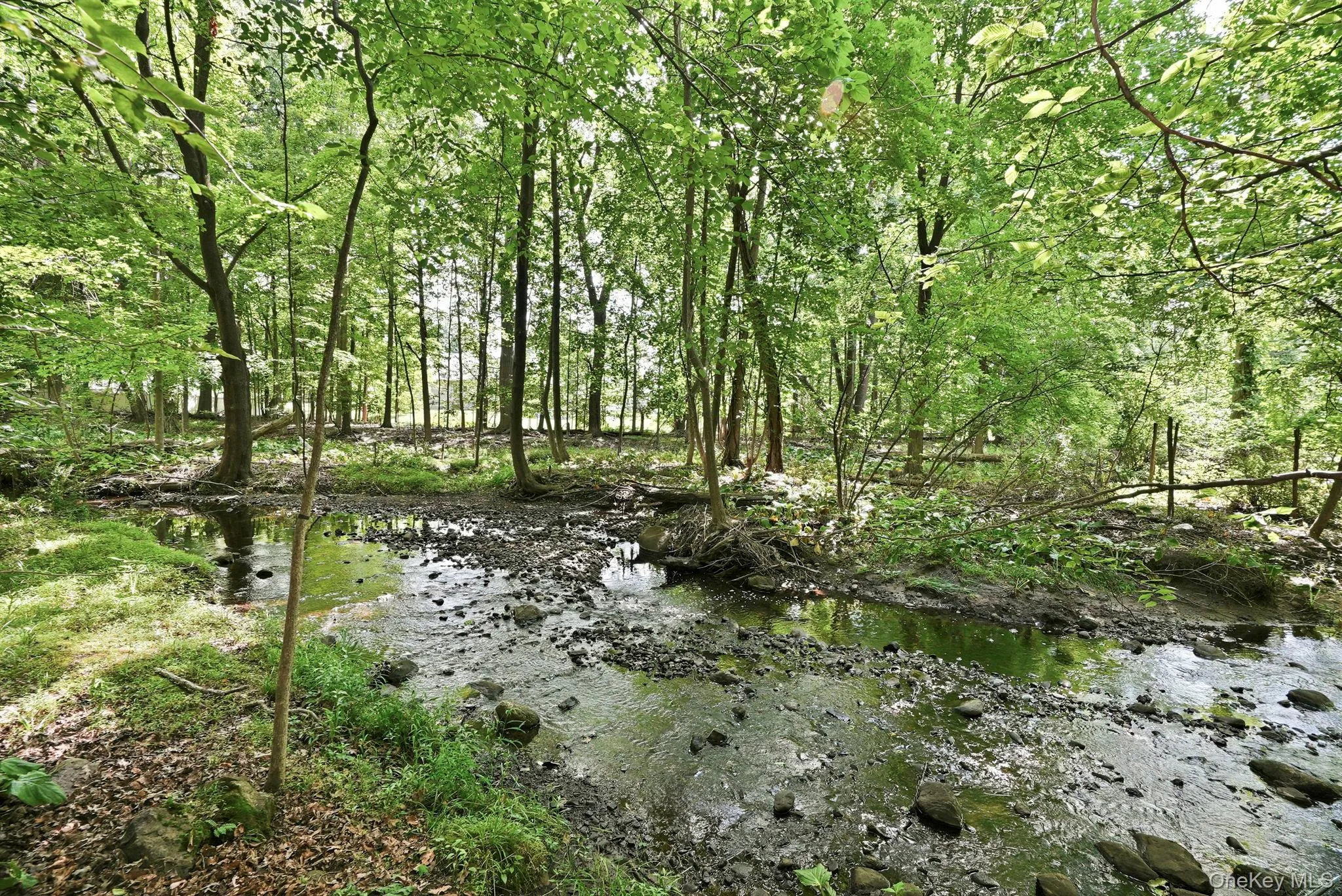 Creek behind the large yard. Creek behind the large yard.