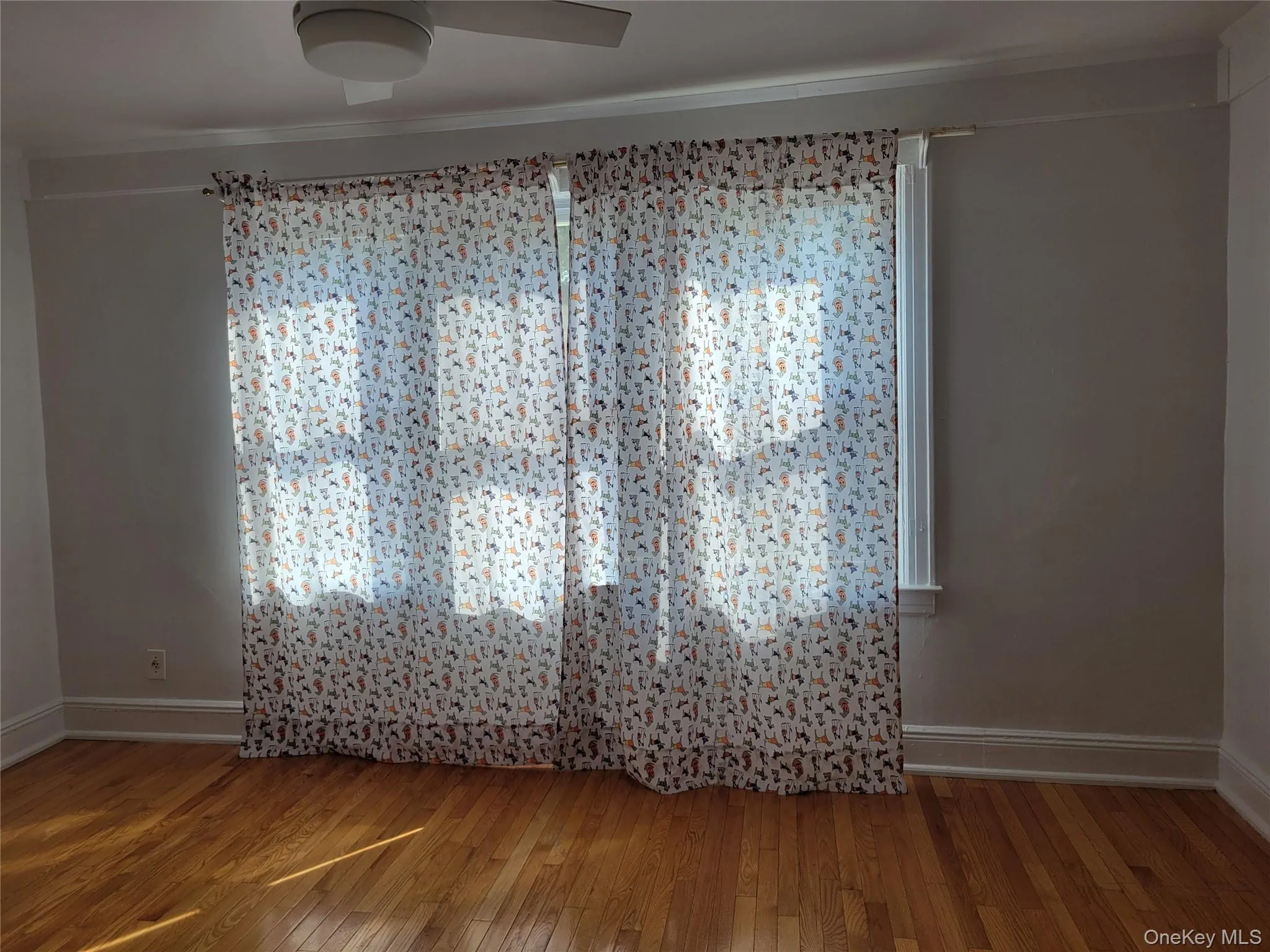 89-38 199th Street, New York, NY, 3 Bedrooms Bedrooms, 6 Rooms Rooms,2 BathroomsBathrooms,Residential,For Rent,199th,0,1024897 89-38 199th Street, New York, NY, 3 Bedrooms Bedrooms, 6 Rooms Rooms,2 BathroomsBathrooms,Residential,For Rent,199th,0,1024897