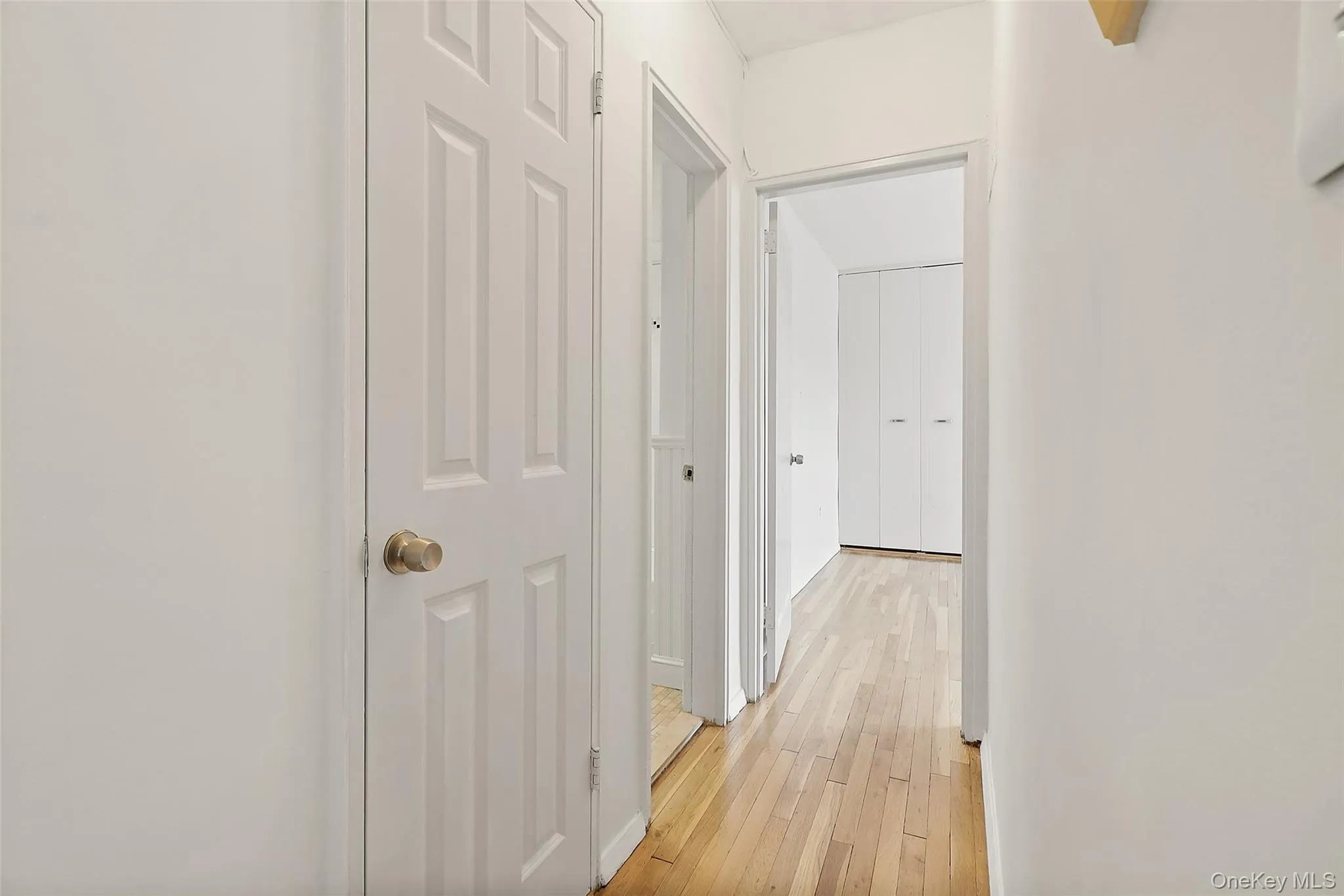 Hallway with walk-in closet Hallway with walk-in closet