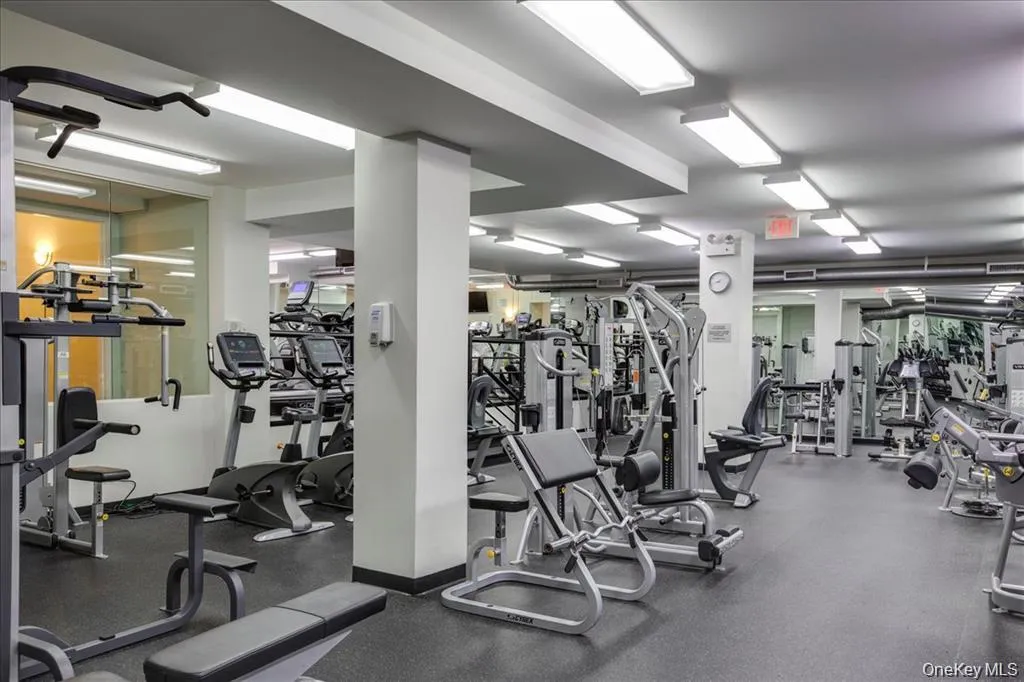 Gym Gym