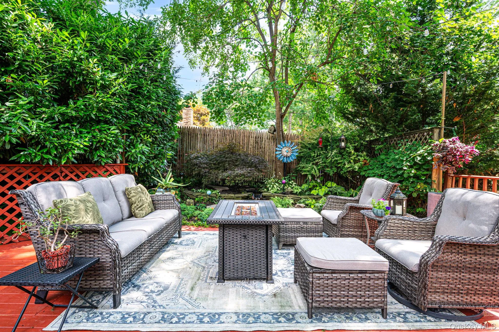 backyard backyard