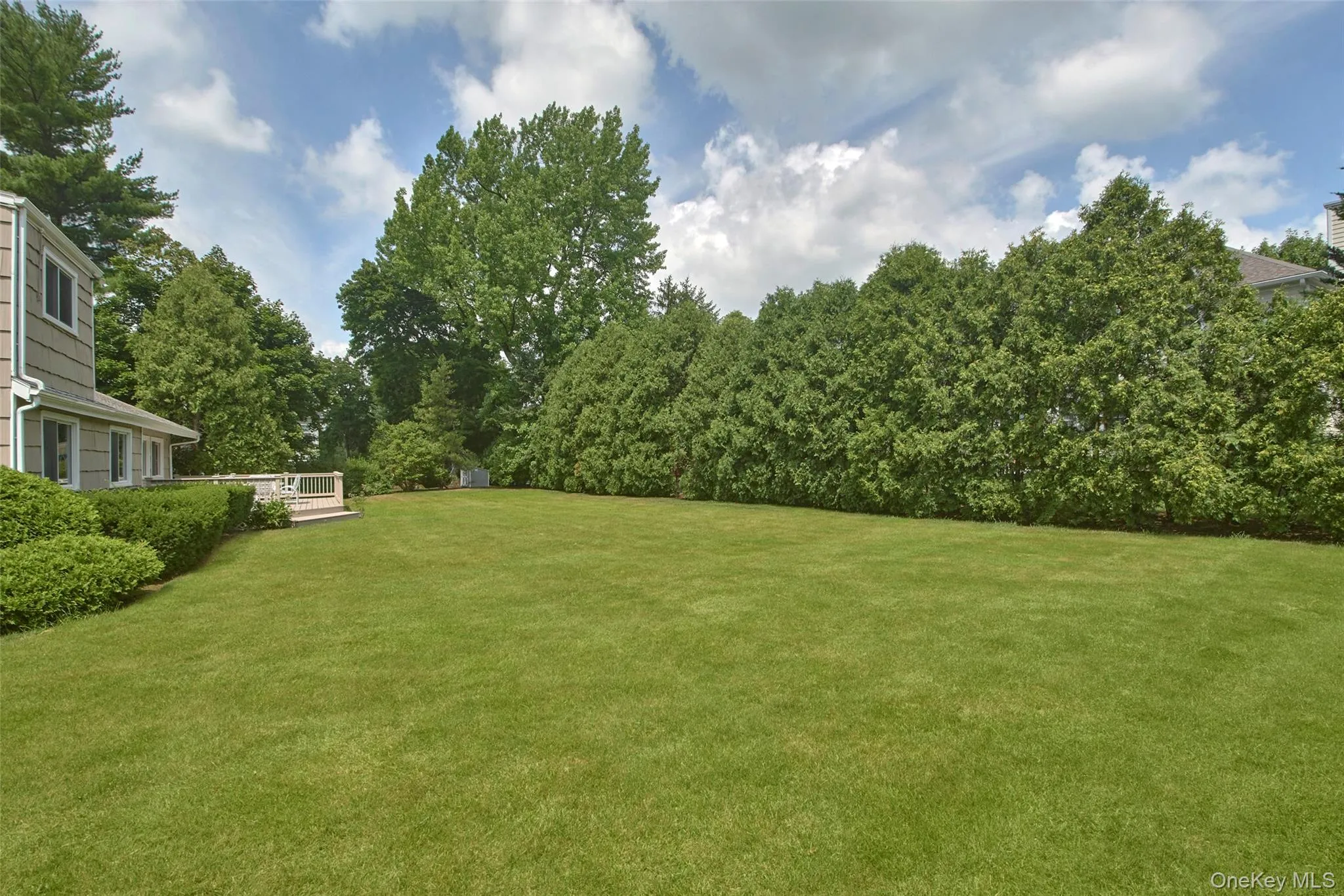 Spacious, private and flat backyard Spacious, private and flat backyard