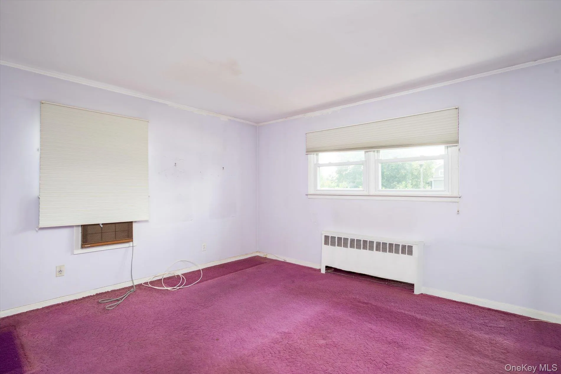 1162 Whitehall Lane, Hempstead, NY, 4 Bedrooms Bedrooms, 6 Rooms Rooms,1 BathroomBathrooms,Residential,For Rent,Whitehall,0,1024973 1162 Whitehall Lane, Hempstead, NY, 4 Bedrooms Bedrooms, 6 Rooms Rooms,1 BathroomBathrooms,Residential,For Rent,Whitehall,0,1024973