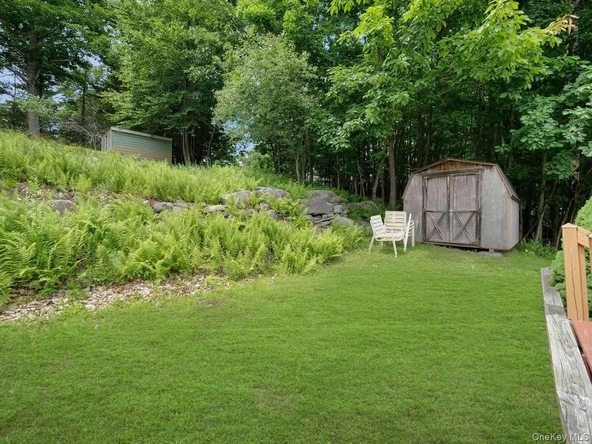 Backyard Backyard