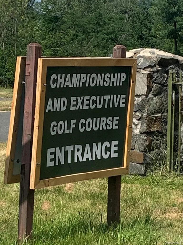 Anyone for golf ! Anyone for golf !