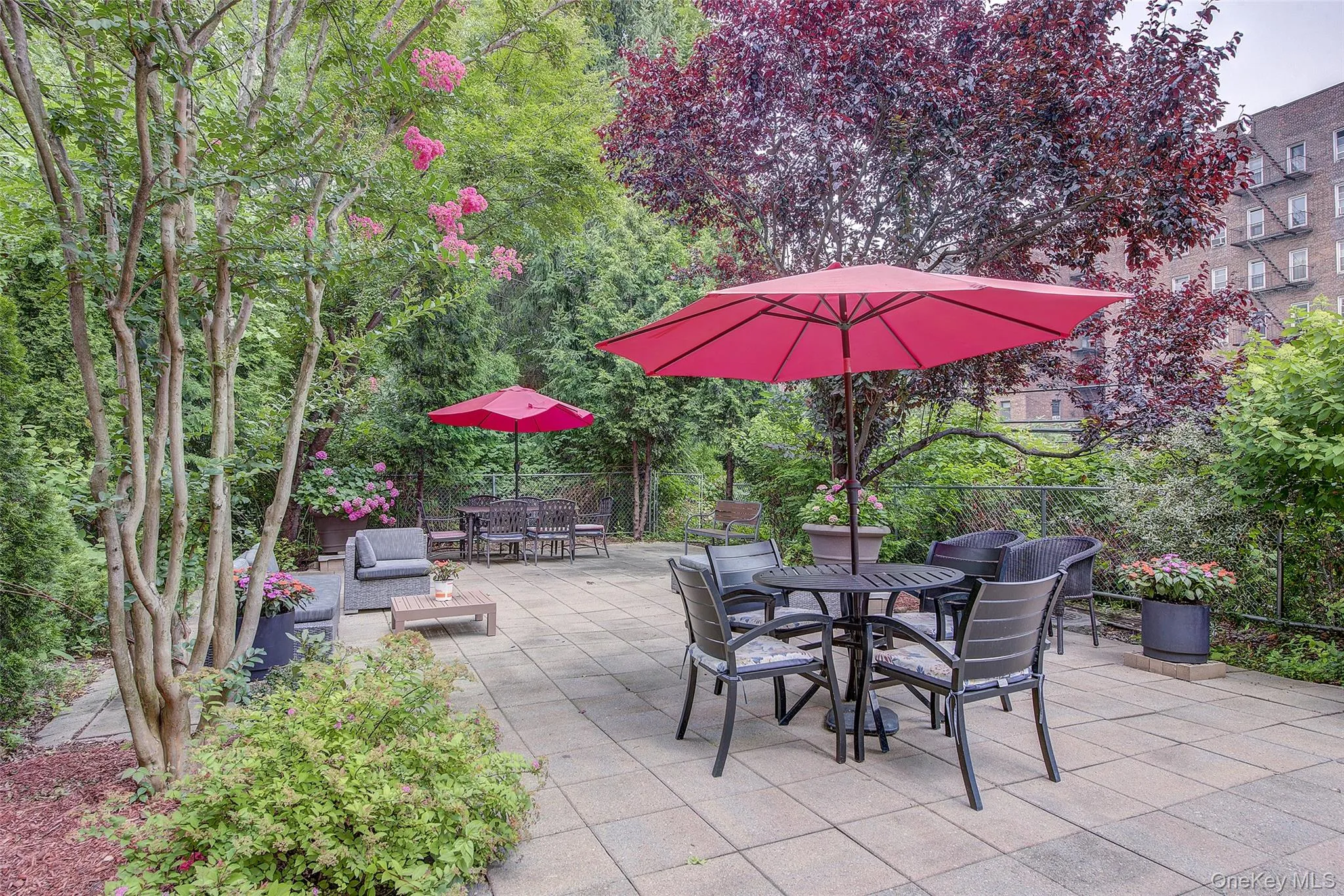 118-17 Union Turnpike, New York, NY, 3 Rooms Rooms,1 BathroomBathrooms,Residential,For Rent,Union,0,1025007 118-17 Union Turnpike, New York, NY, 3 Rooms Rooms,1 BathroomBathrooms,Residential,For Rent,Union,0,1025007