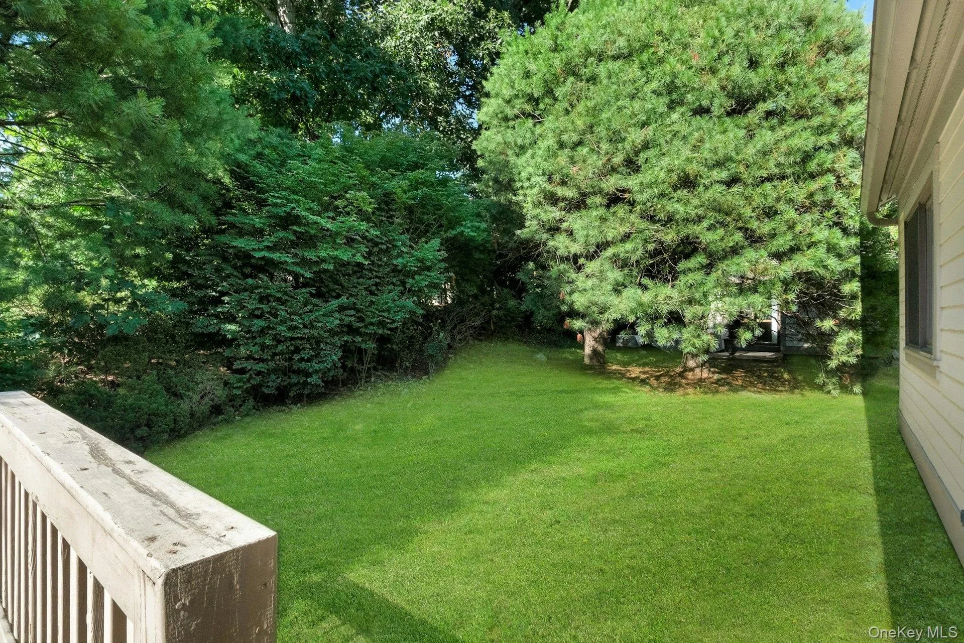 Private area in the back off the deck Private area in the back off the deck