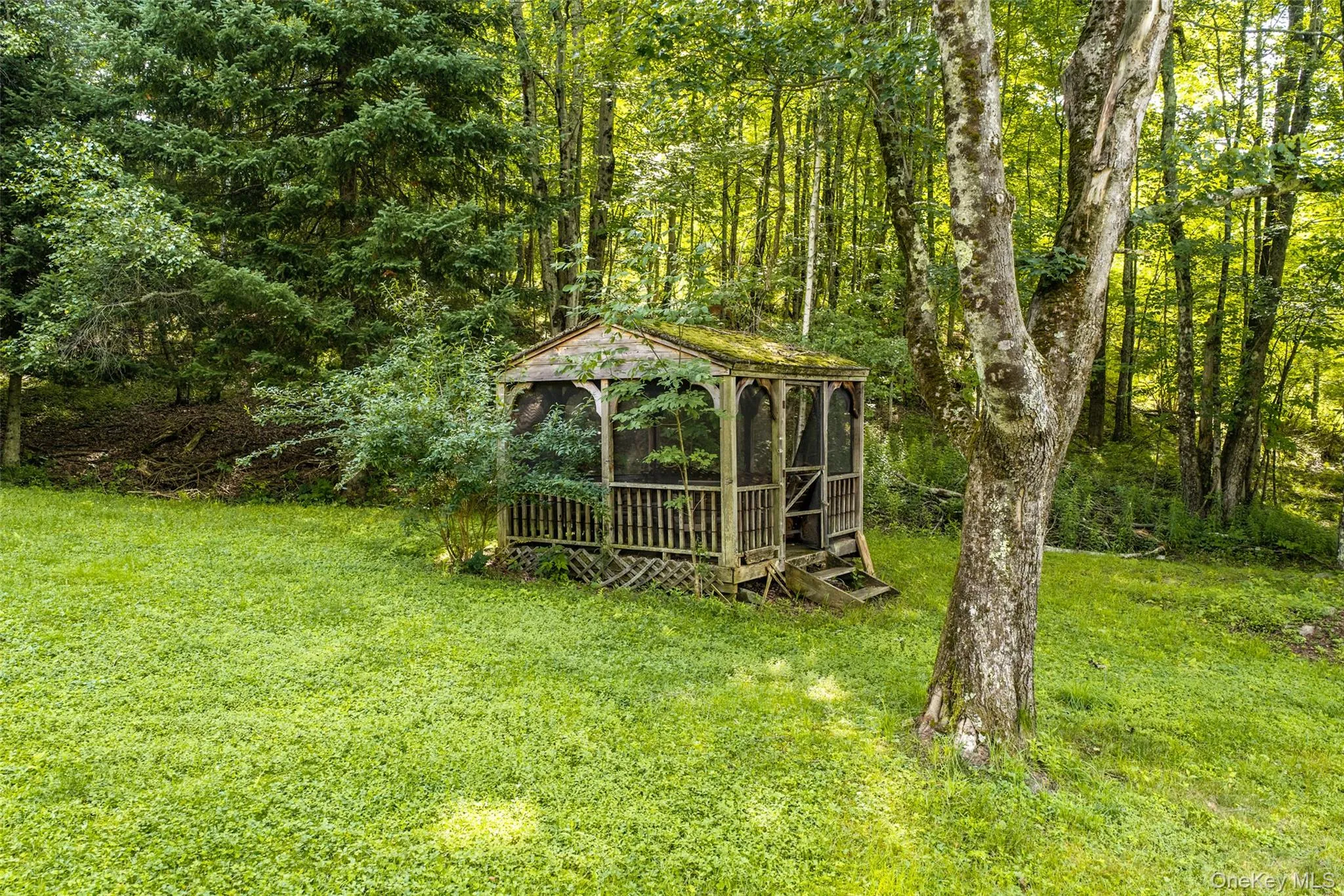 84 Railroad Avenue, Fallsburg, NY, 3 Bedrooms Bedrooms, 5 Rooms Rooms,1 BathroomBathrooms,Residential,For Rent,Railroad,0,1025011 84 Railroad Avenue, Fallsburg, NY, 3 Bedrooms Bedrooms, 5 Rooms Rooms,1 BathroomBathrooms,Residential,For Rent,Railroad,0,1025011