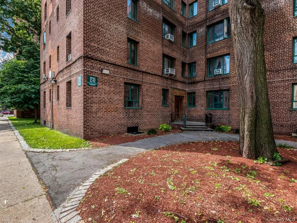 1725 Purdy Street, New York, NY, 1 Bedroom Bedrooms, 4 Rooms Rooms,1 BathroomBathrooms,Residential,For Rent,Purdy,0,1025024 1725 Purdy Street, New York, NY, 1 Bedroom Bedrooms, 4 Rooms Rooms,1 BathroomBathrooms,Residential,For Rent,Purdy,0,1025024
