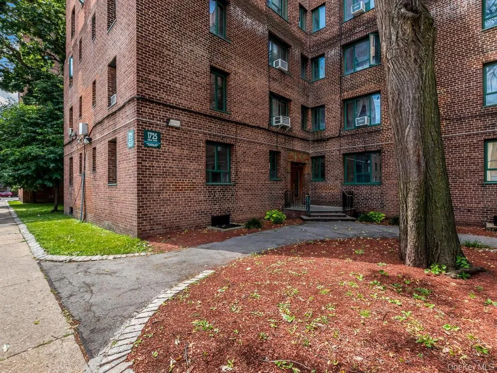 1725 Purdy Street, New York, NY, 1 Bedroom Bedrooms, 4 Rooms Rooms,1 BathroomBathrooms,Residential,For Rent,Purdy,0,1025024 1725 Purdy Street, New York, NY, 1 Bedroom Bedrooms, 4 Rooms Rooms,1 BathroomBathrooms,Residential,For Rent,Purdy,0,1025024