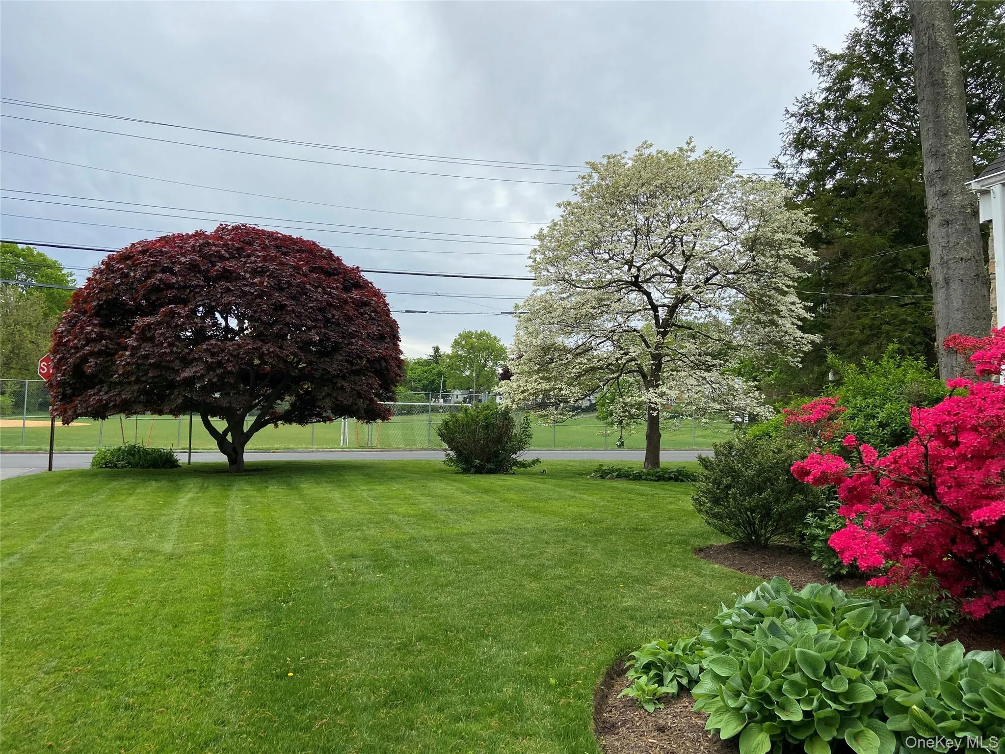 Mature Trees and Plantings Mature Trees and Plantings