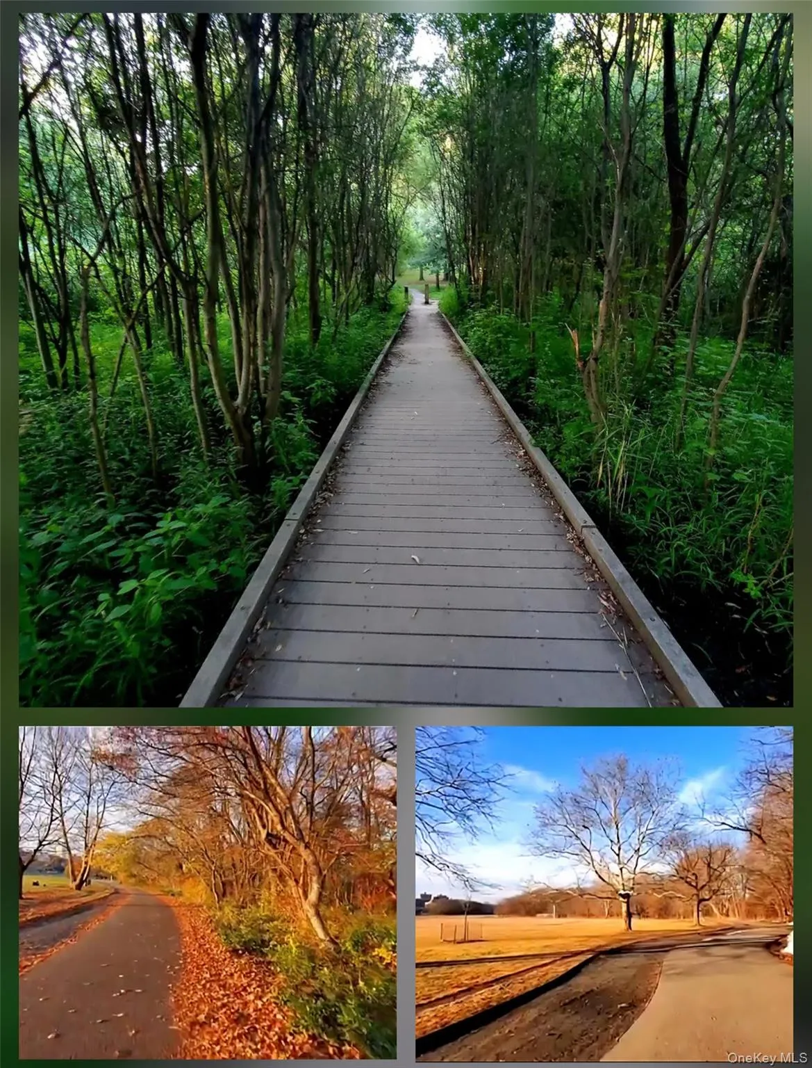 180 Van Cortlandt Park, New York, NY, 2 Bedrooms Bedrooms, 5 Rooms Rooms,1 BathroomBathrooms,Residential,For Rent,Van Cortlandt,0,1025039 180 Van Cortlandt Park, New York, NY, 2 Bedrooms Bedrooms, 5 Rooms Rooms,1 BathroomBathrooms,Residential,For Rent,Van Cortlandt,0,1025039