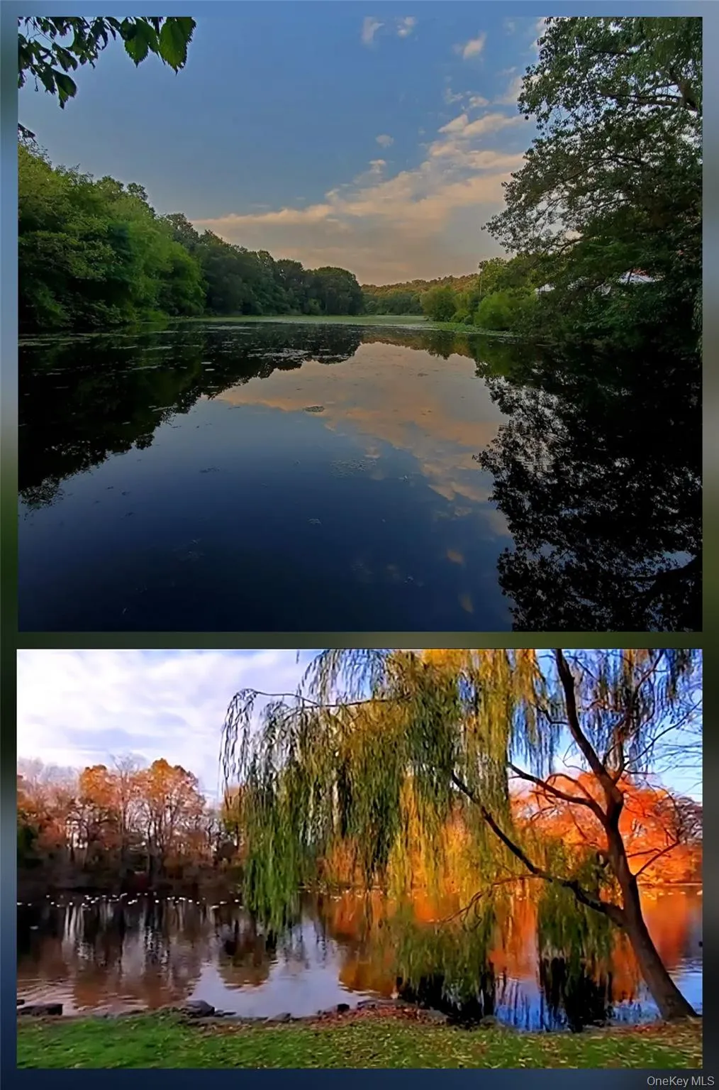 180 Van Cortlandt Park, New York, NY, 2 Bedrooms Bedrooms, 5 Rooms Rooms,1 BathroomBathrooms,Residential,For Rent,Van Cortlandt,0,1025039 180 Van Cortlandt Park, New York, NY, 2 Bedrooms Bedrooms, 5 Rooms Rooms,1 BathroomBathrooms,Residential,For Rent,Van Cortlandt,0,1025039