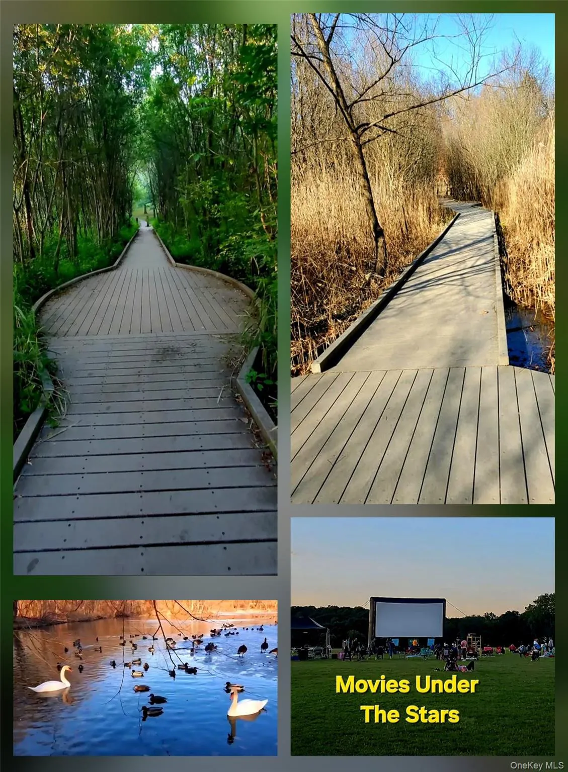 180 Van Cortlandt Park, New York, NY, 2 Bedrooms Bedrooms, 5 Rooms Rooms,1 BathroomBathrooms,Residential,For Rent,Van Cortlandt,0,1025039 180 Van Cortlandt Park, New York, NY, 2 Bedrooms Bedrooms, 5 Rooms Rooms,1 BathroomBathrooms,Residential,For Rent,Van Cortlandt,0,1025039