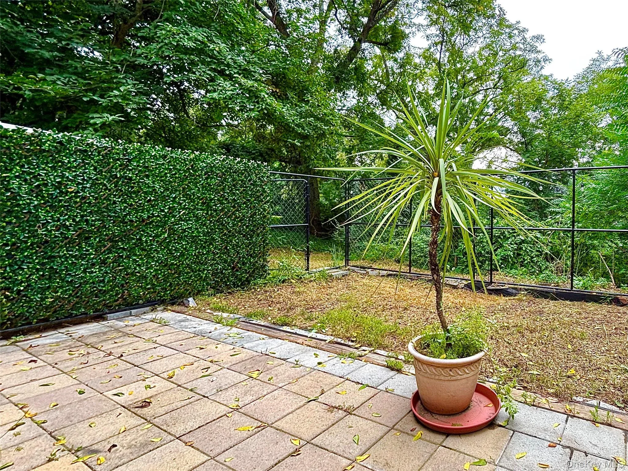 Large Patio and yard Large Patio and yard