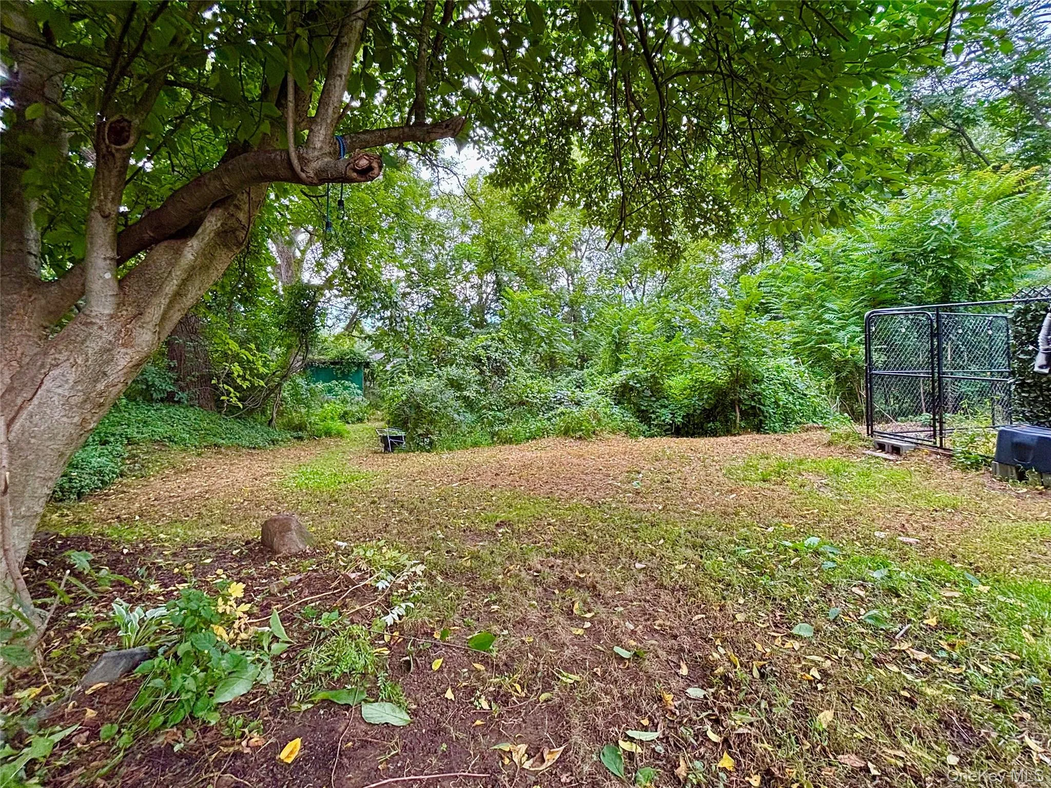 Deep backyard with lots of greenery Deep backyard with lots of greenery