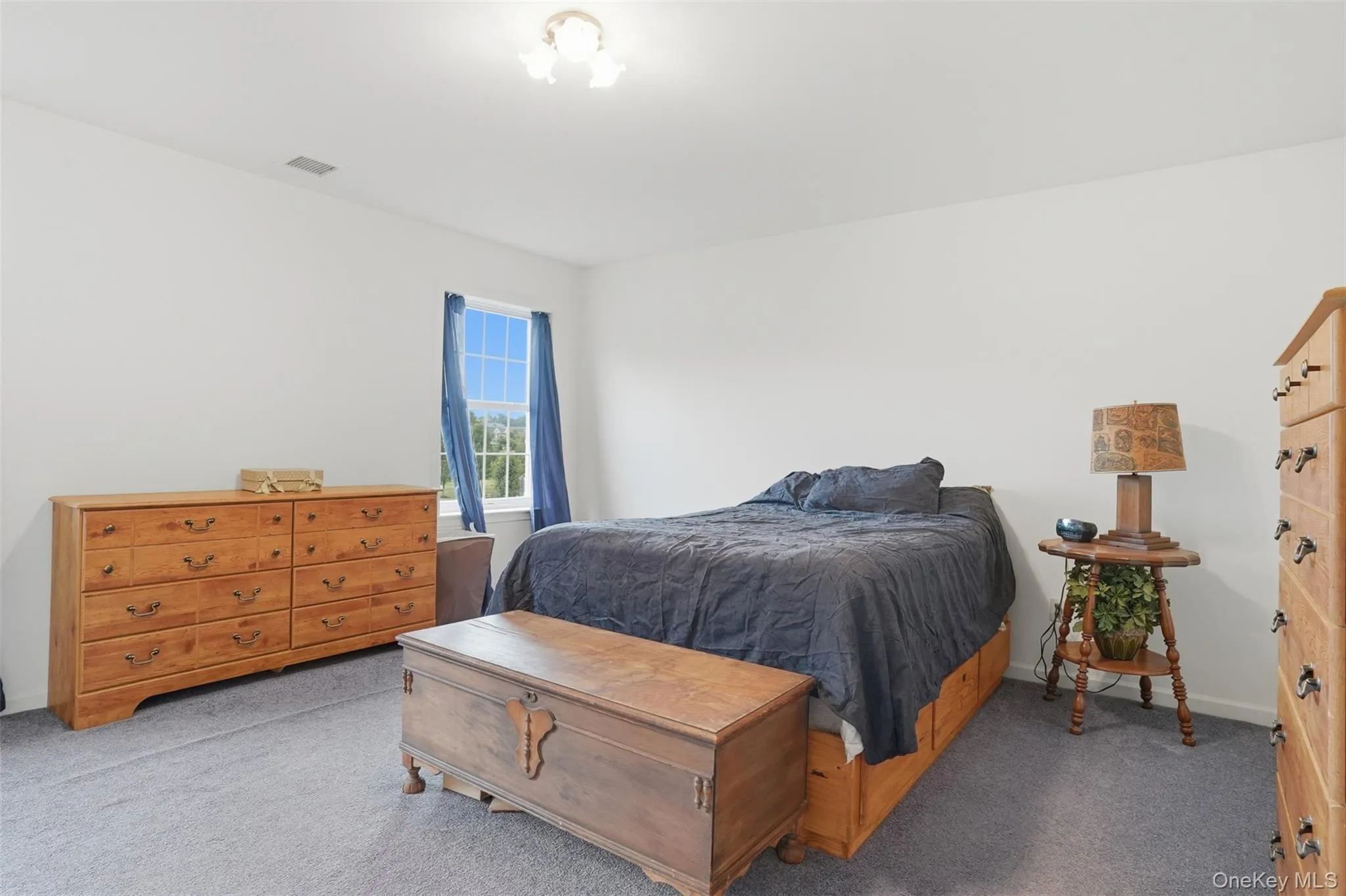 Carpeted room featuring a single window with blue drapes, white painted walls, and a ceiling-mounted light fixture Carpeted room featuring a single window with blue drapes, white painted walls, and a ceiling-mounted light fixture