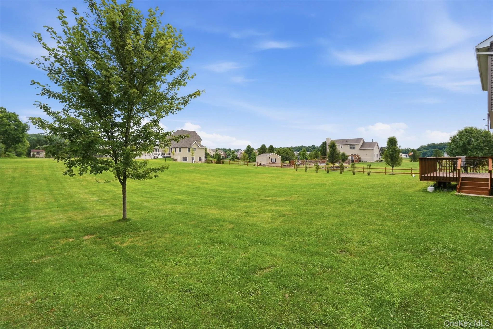 Expansive green lawn with a mature deciduous tree Expansive green lawn with a mature deciduous tree