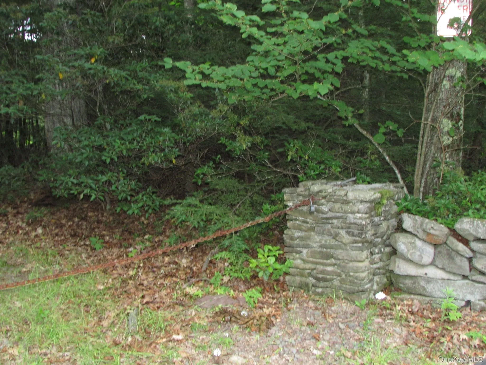 Fox Hill Road Tr 55, Fallsburg, NY, ,Land,For Rent,Fox Hill Road Tr 55,0,1025073 Fox Hill Road Tr 55, Fallsburg, NY, ,Land,For Rent,Fox Hill Road Tr 55,0,1025073