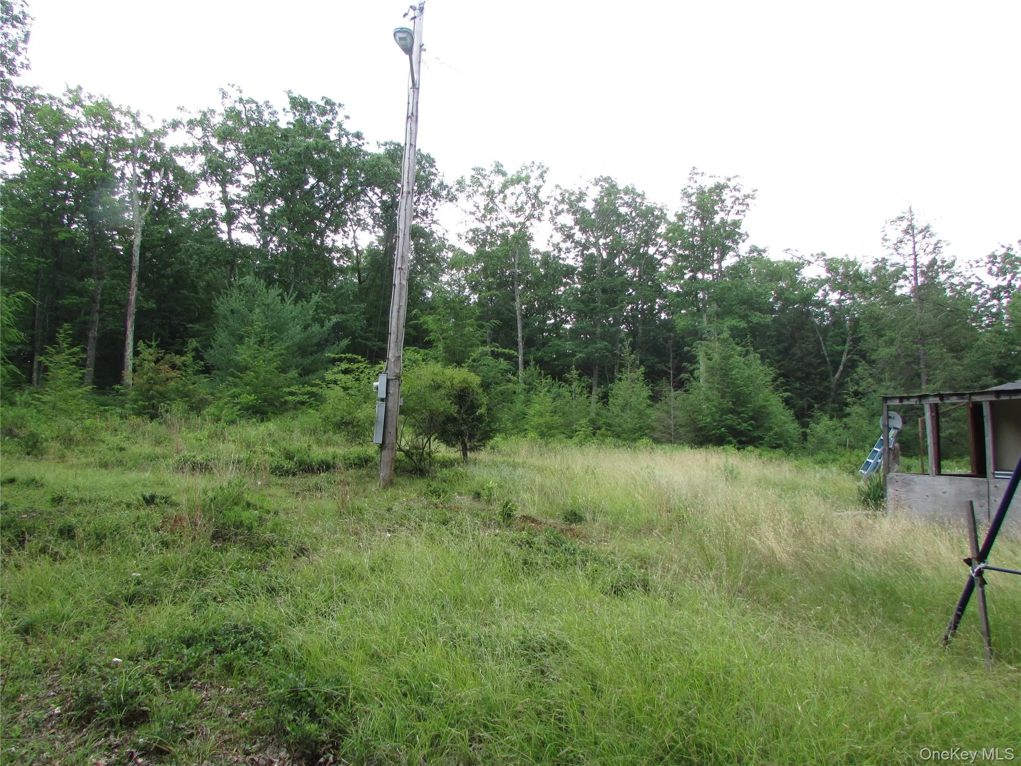 Fox Hill Road Tr 55, Fallsburg, NY, ,Land,For Rent,Fox Hill Road Tr 55,0,1025073 Fox Hill Road Tr 55, Fallsburg, NY, ,Land,For Rent,Fox Hill Road Tr 55,0,1025073