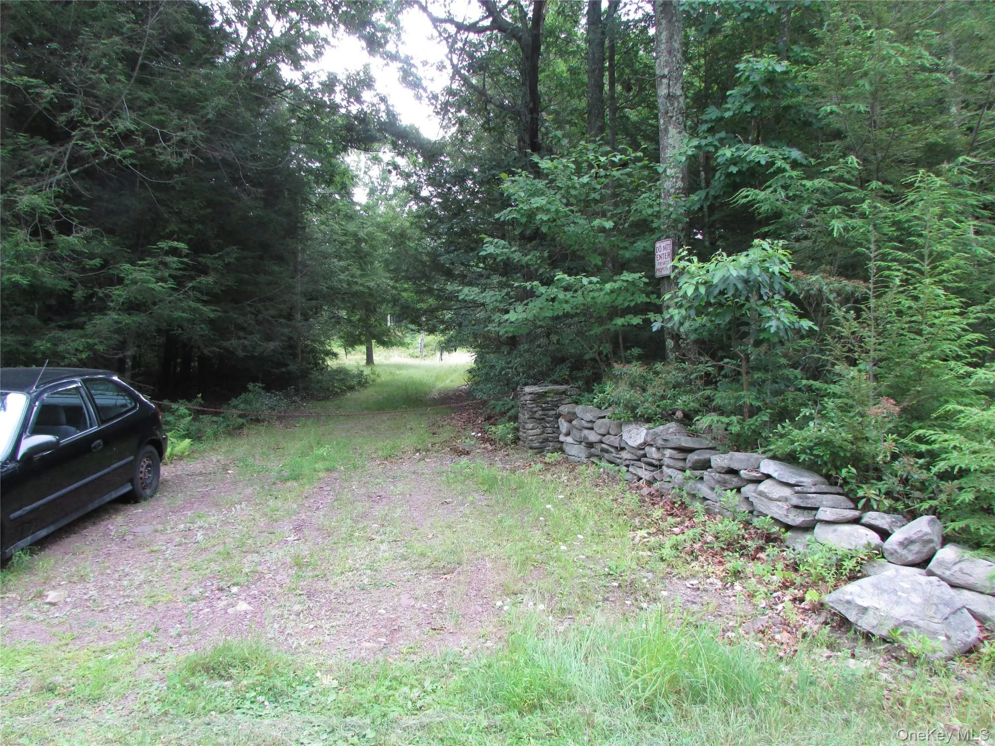 Driveway Driveway