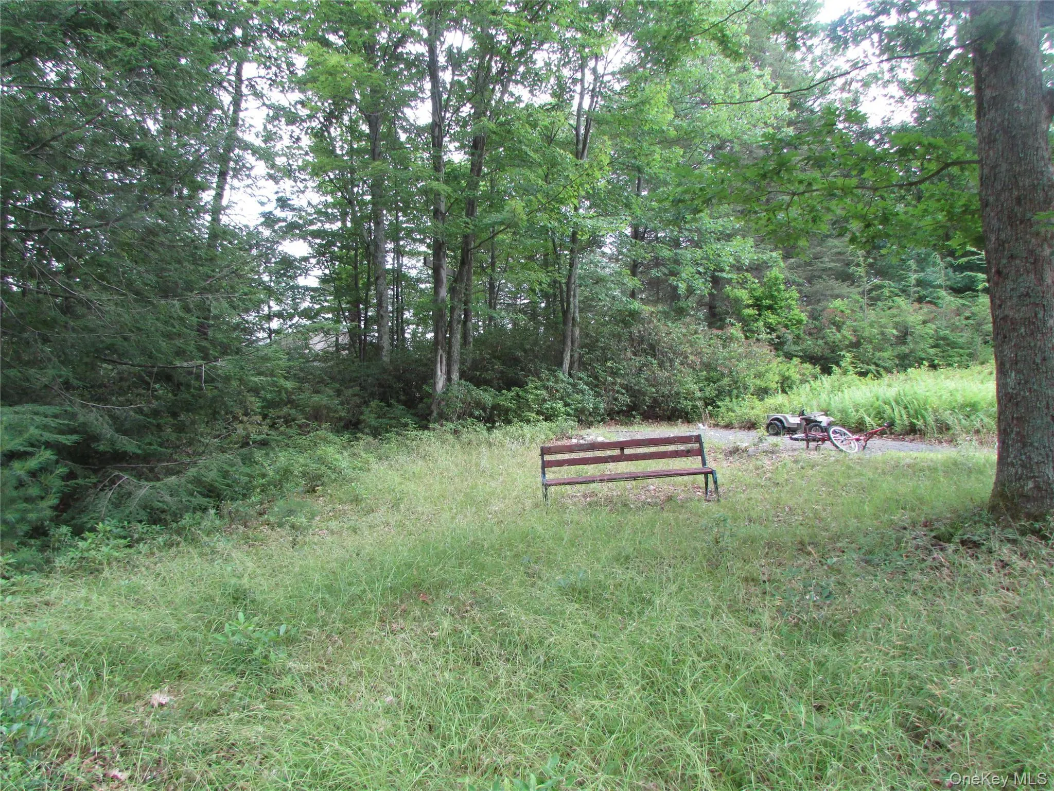 Fox Hill Road Tr 55, Fallsburg, NY, ,Land,For Rent,Fox Hill Road Tr 55,0,1025073 Fox Hill Road Tr 55, Fallsburg, NY, ,Land,For Rent,Fox Hill Road Tr 55,0,1025073