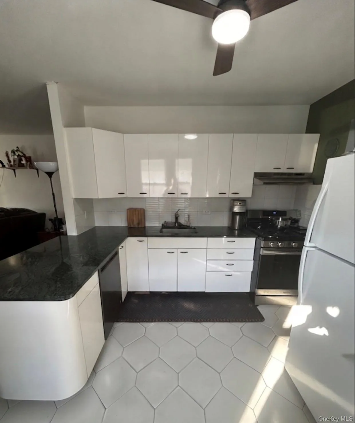 3058 Barkley Avenue, New York, NY, 2 Bedrooms Bedrooms, 5 Rooms Rooms,2 BathroomsBathrooms,Residential,For Rent,Barkley,0,1025088 3058 Barkley Avenue, New York, NY, 2 Bedrooms Bedrooms, 5 Rooms Rooms,2 BathroomsBathrooms,Residential,For Rent,Barkley,0,1025088
