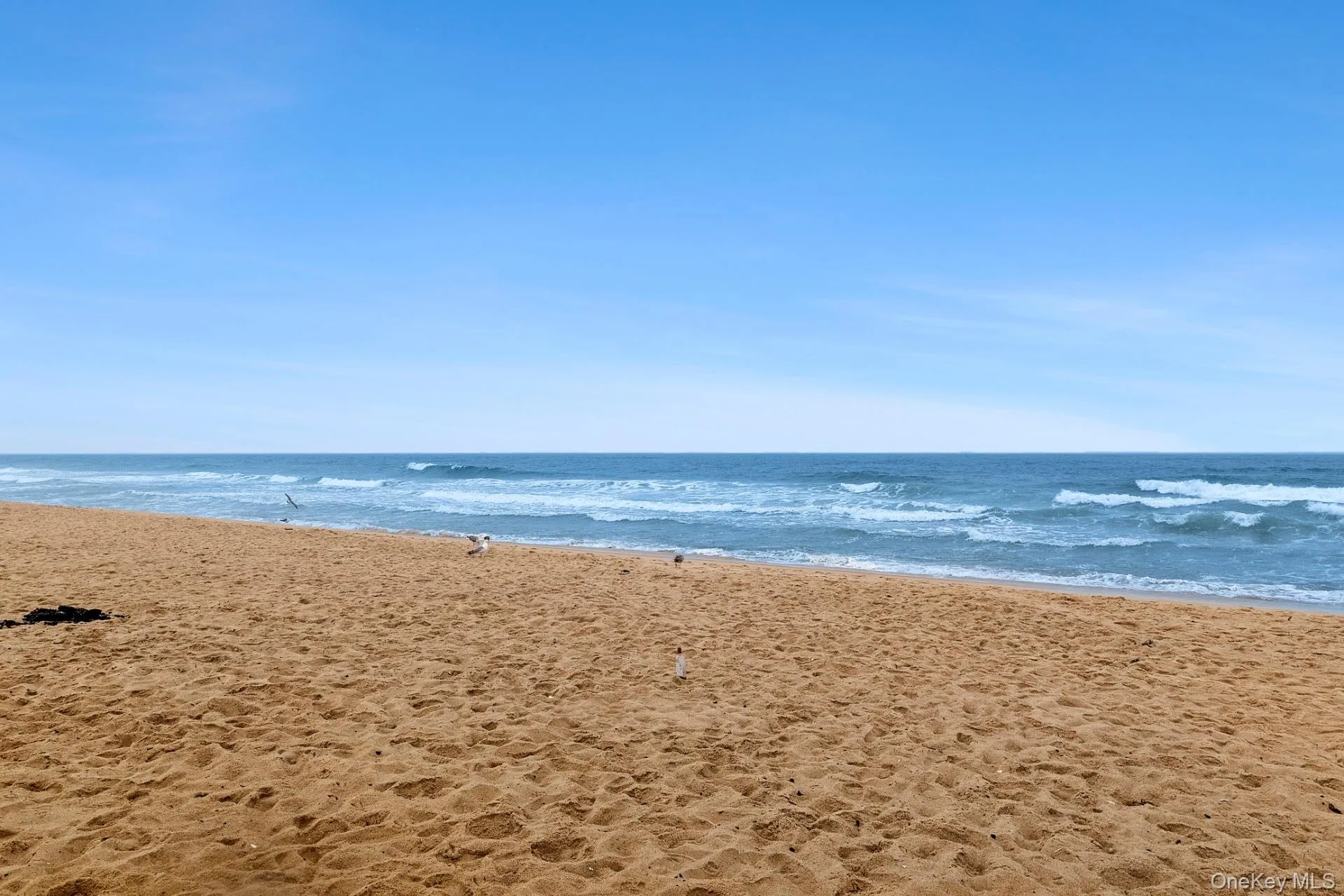 126 Emerson Avenue, East Hampton, NY, 1 Bedroom Bedrooms, 2 Rooms Rooms,1 BathroomBathrooms,Residential,For Rent,Emerson,0,1025101 126 Emerson Avenue, East Hampton, NY, 1 Bedroom Bedrooms, 2 Rooms Rooms,1 BathroomBathrooms,Residential,For Rent,Emerson,0,1025101