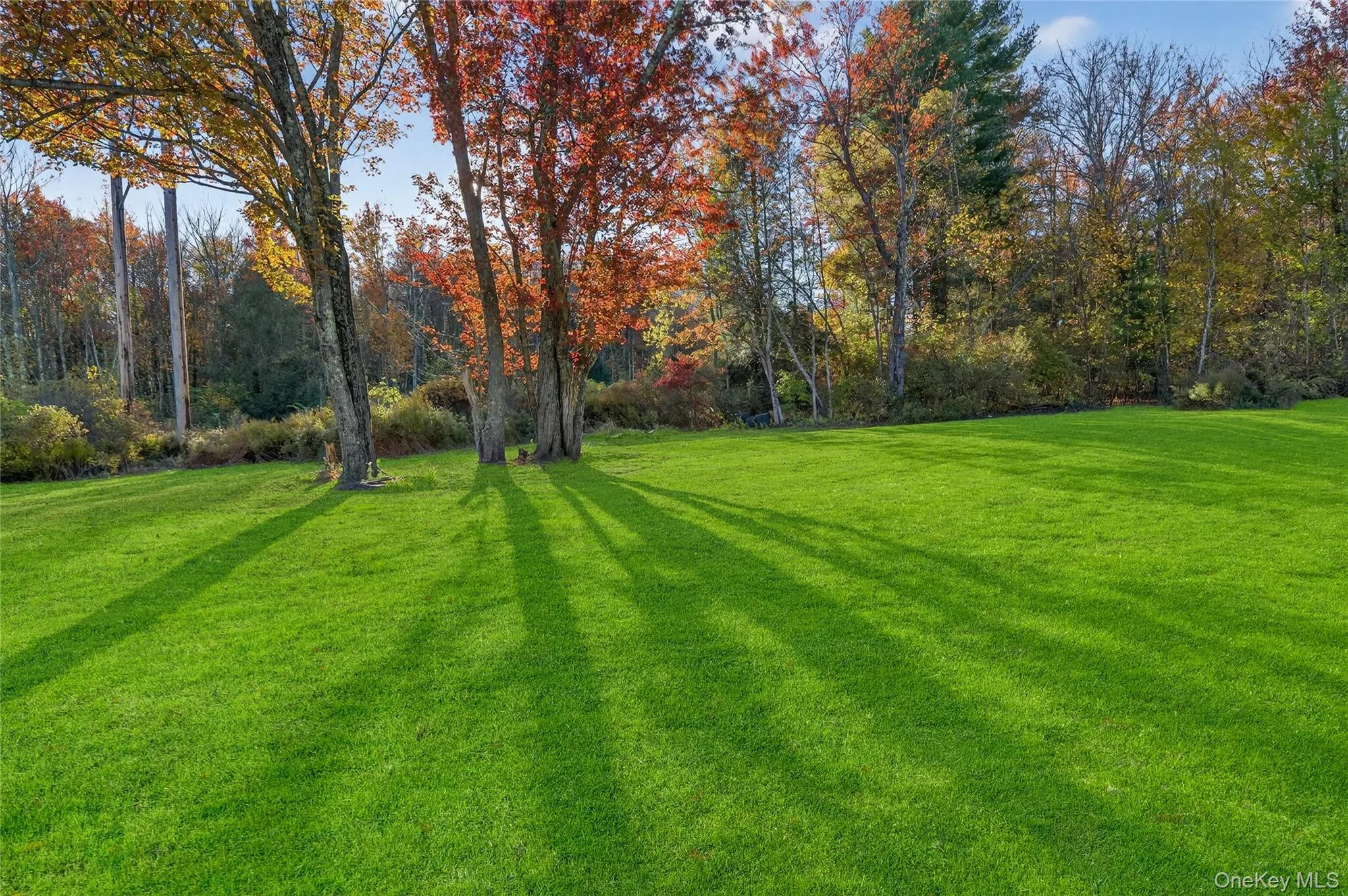 91 Meyerhoff Road, Fallsburg, NY, 3 Bedrooms Bedrooms, 7 Rooms Rooms,3 BathroomsBathrooms,Residential Lease,For Rent,Meyerhoff,0,1025102 91 Meyerhoff Road, Fallsburg, NY, 3 Bedrooms Bedrooms, 7 Rooms Rooms,3 BathroomsBathrooms,Residential Lease,For Rent,Meyerhoff,0,1025102