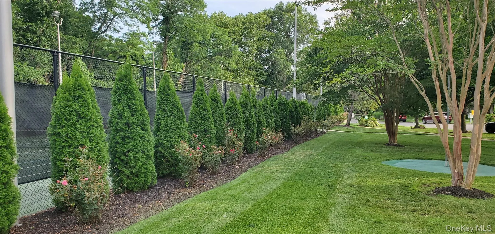 Lighted Tennis courts Lighted Tennis courts