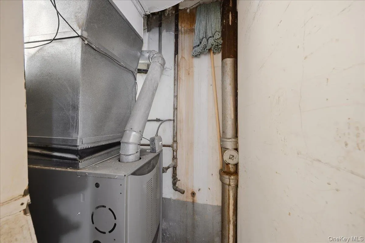 3310 Gunther Avenue, New York, NY, 3 Bedrooms Bedrooms, 6 Rooms Rooms,2 BathroomsBathrooms,Residential,For Rent,Gunther,0,1025142 3310 Gunther Avenue, New York, NY, 3 Bedrooms Bedrooms, 6 Rooms Rooms,2 BathroomsBathrooms,Residential,For Rent,Gunther,0,1025142