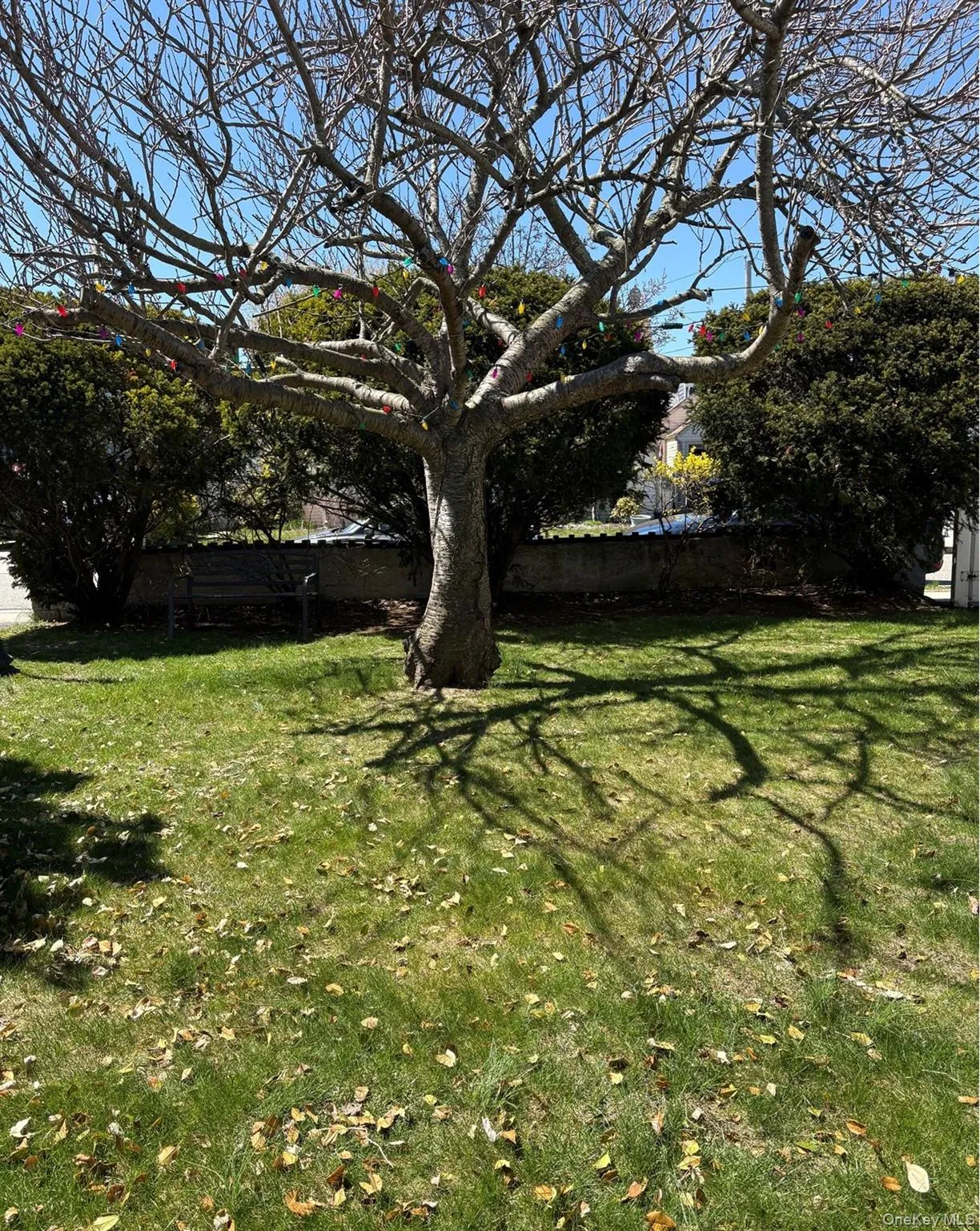 142 Cleveland Avenue, Long Beach, NY, 4 Bedrooms Bedrooms, 7 Rooms Rooms,2 BathroomsBathrooms,Residential,For Rent,Cleveland,0,1025158 142 Cleveland Avenue, Long Beach, NY, 4 Bedrooms Bedrooms, 7 Rooms Rooms,2 BathroomsBathrooms,Residential,For Rent,Cleveland,0,1025158