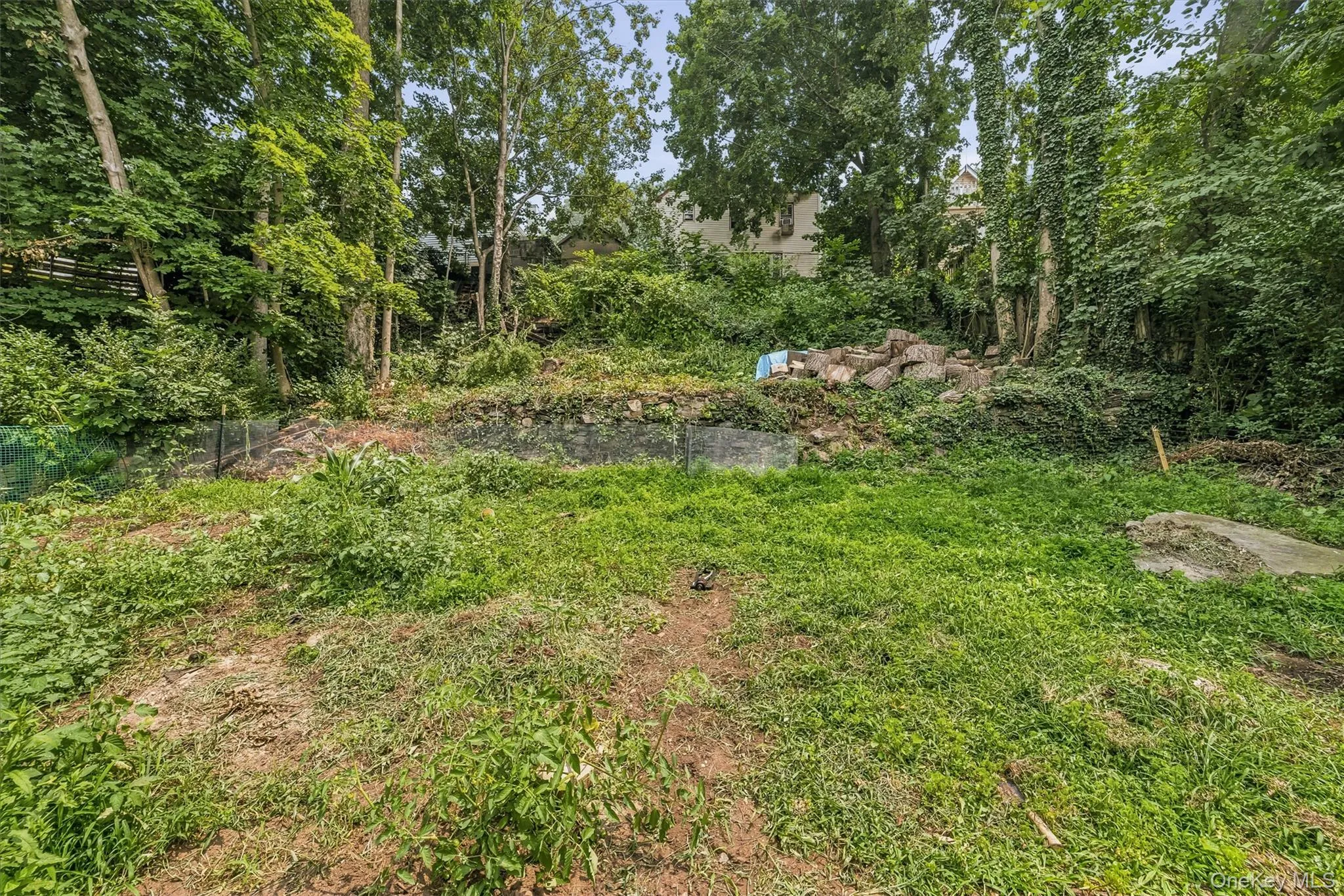 218 Sedgwick Avenue, Yonkers, NY, 3 Bedrooms Bedrooms, 7 Rooms Rooms,1 BathroomBathrooms,Residential,For Rent,Sedgwick,0,1025186 218 Sedgwick Avenue, Yonkers, NY, 3 Bedrooms Bedrooms, 7 Rooms Rooms,1 BathroomBathrooms,Residential,For Rent,Sedgwick,0,1025186